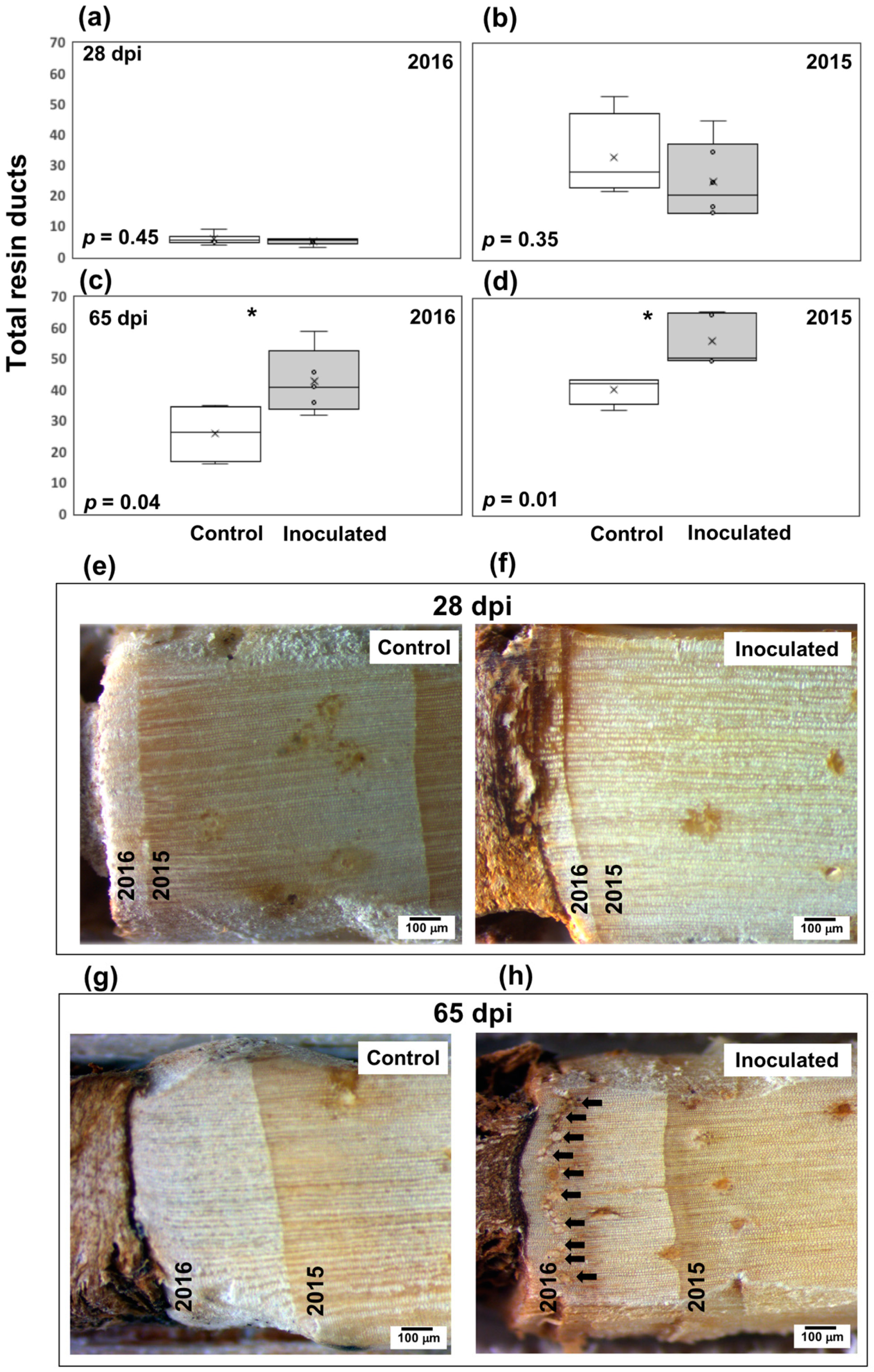 Forests 09 00690 g003