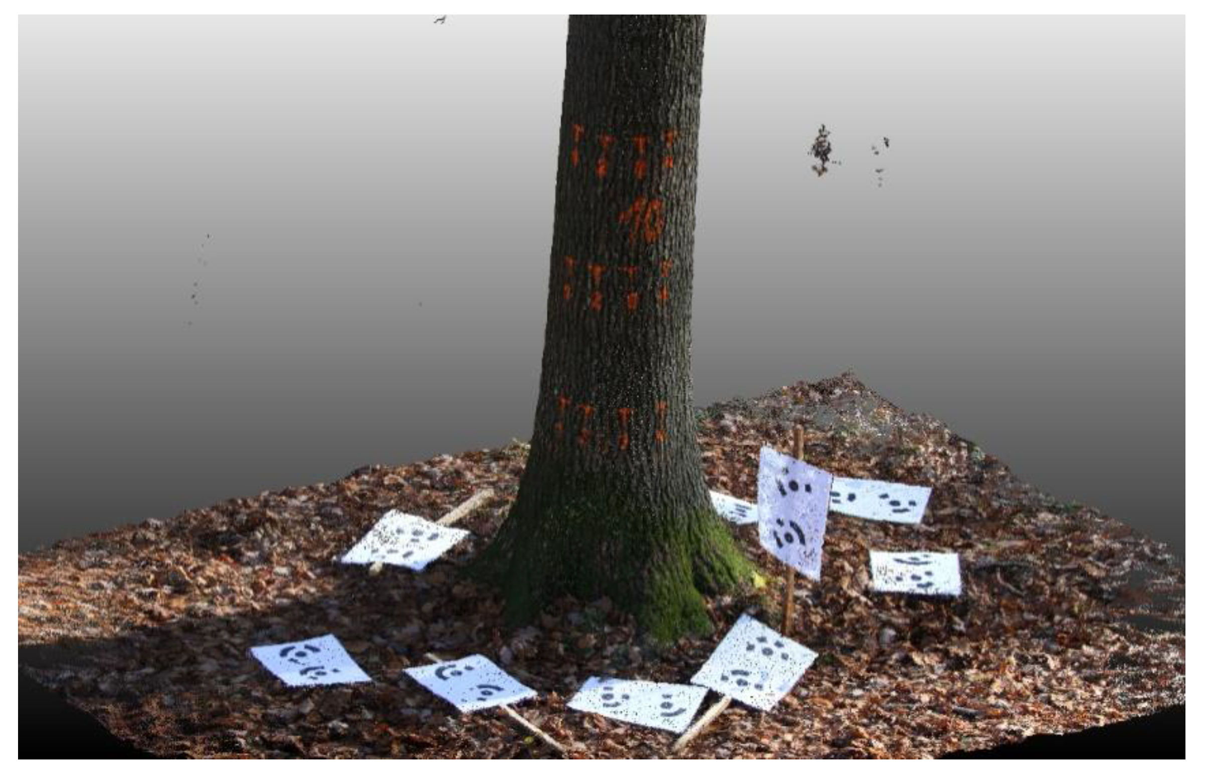 Forests 09 00696 g004