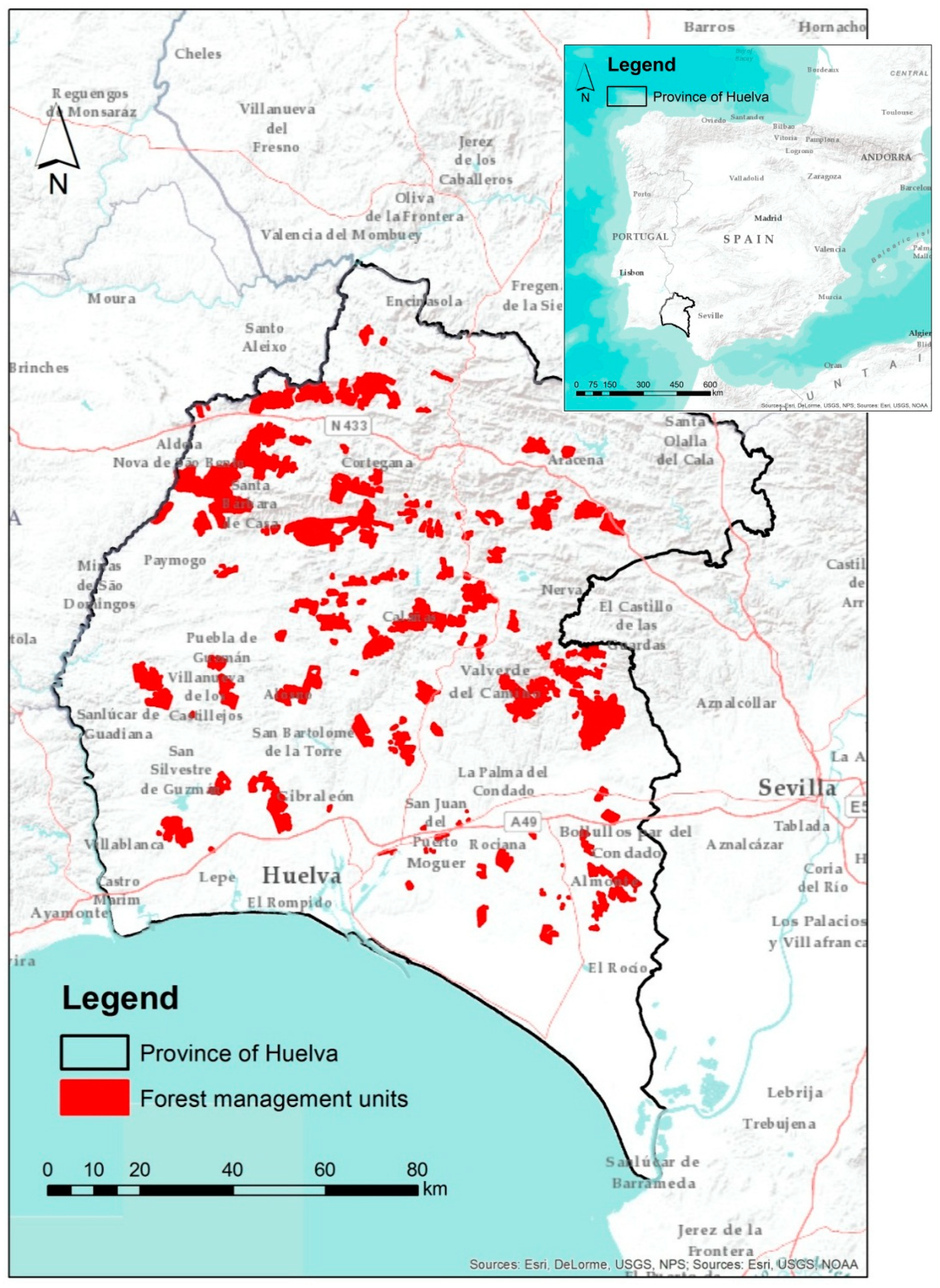 Forests 09 00705 g001
