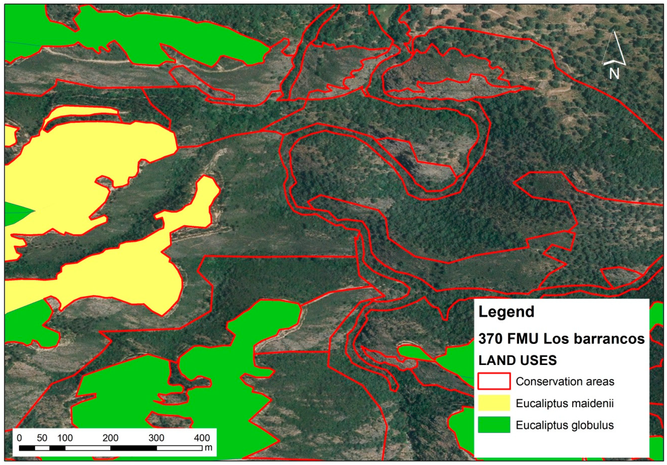 Forests 09 00705 g002