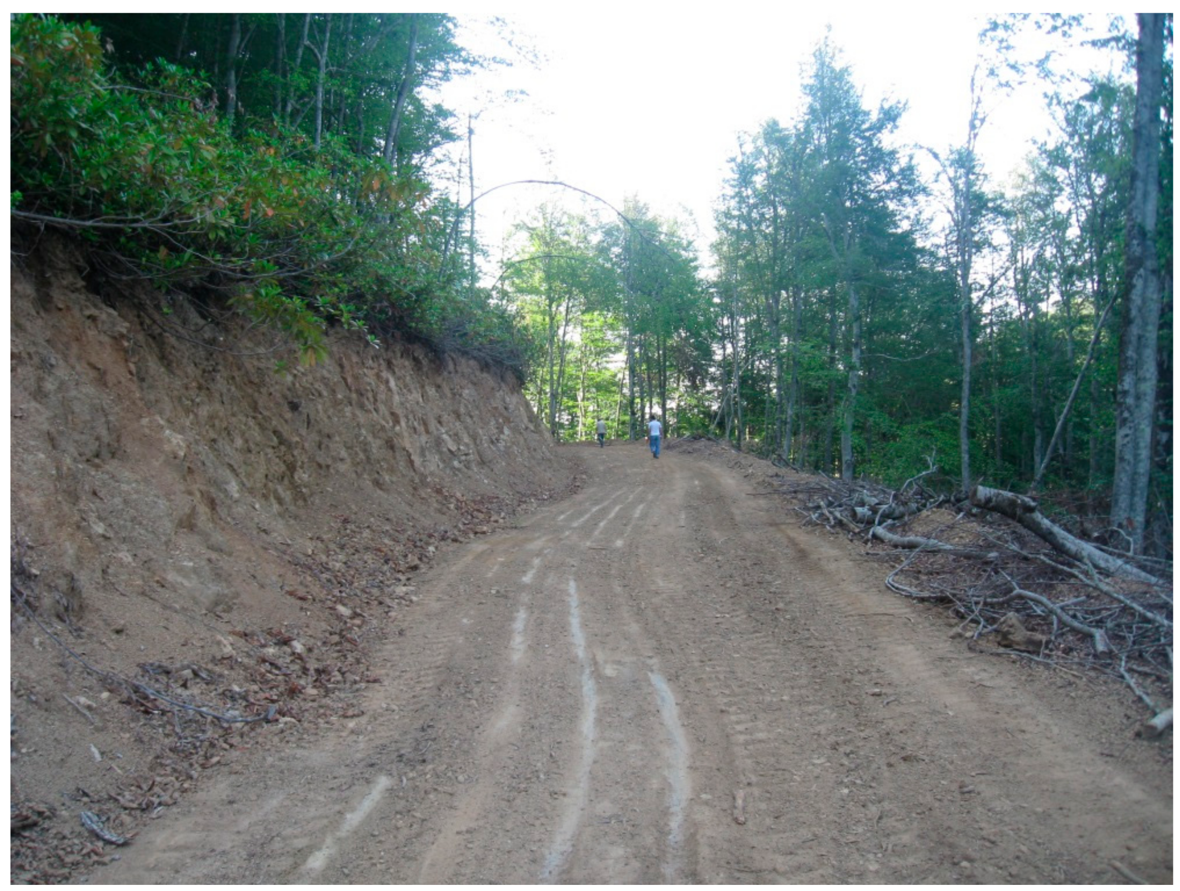 Forests 09 00712 g001