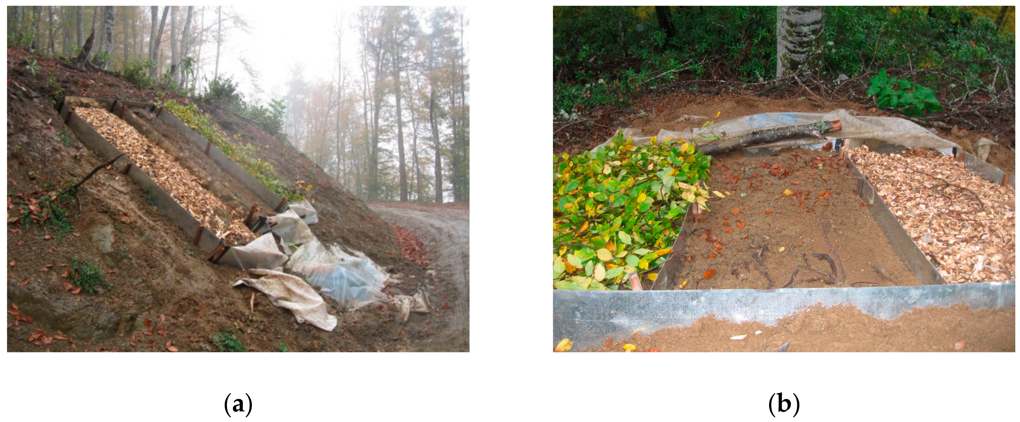 Forests 09 00712 g002