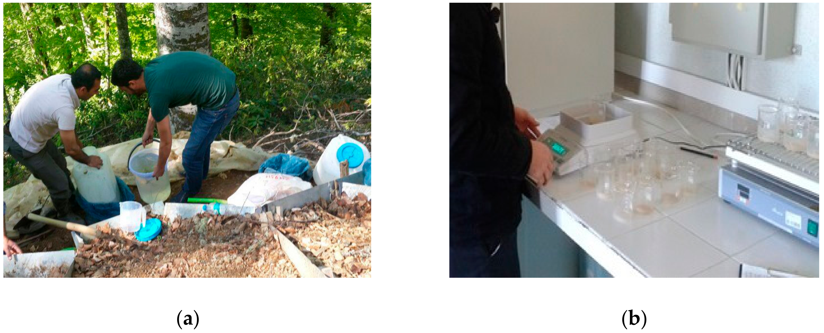 Forests 09 00712 g003