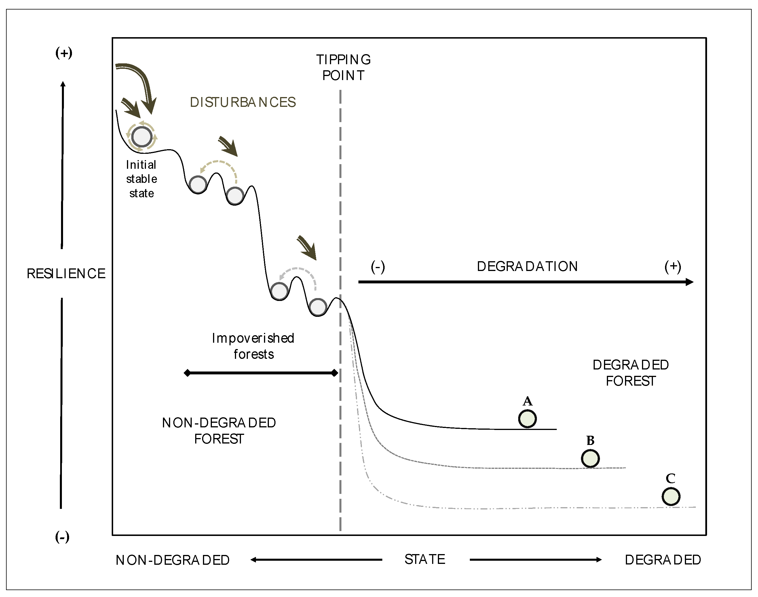 Forests 09 00726 g001
