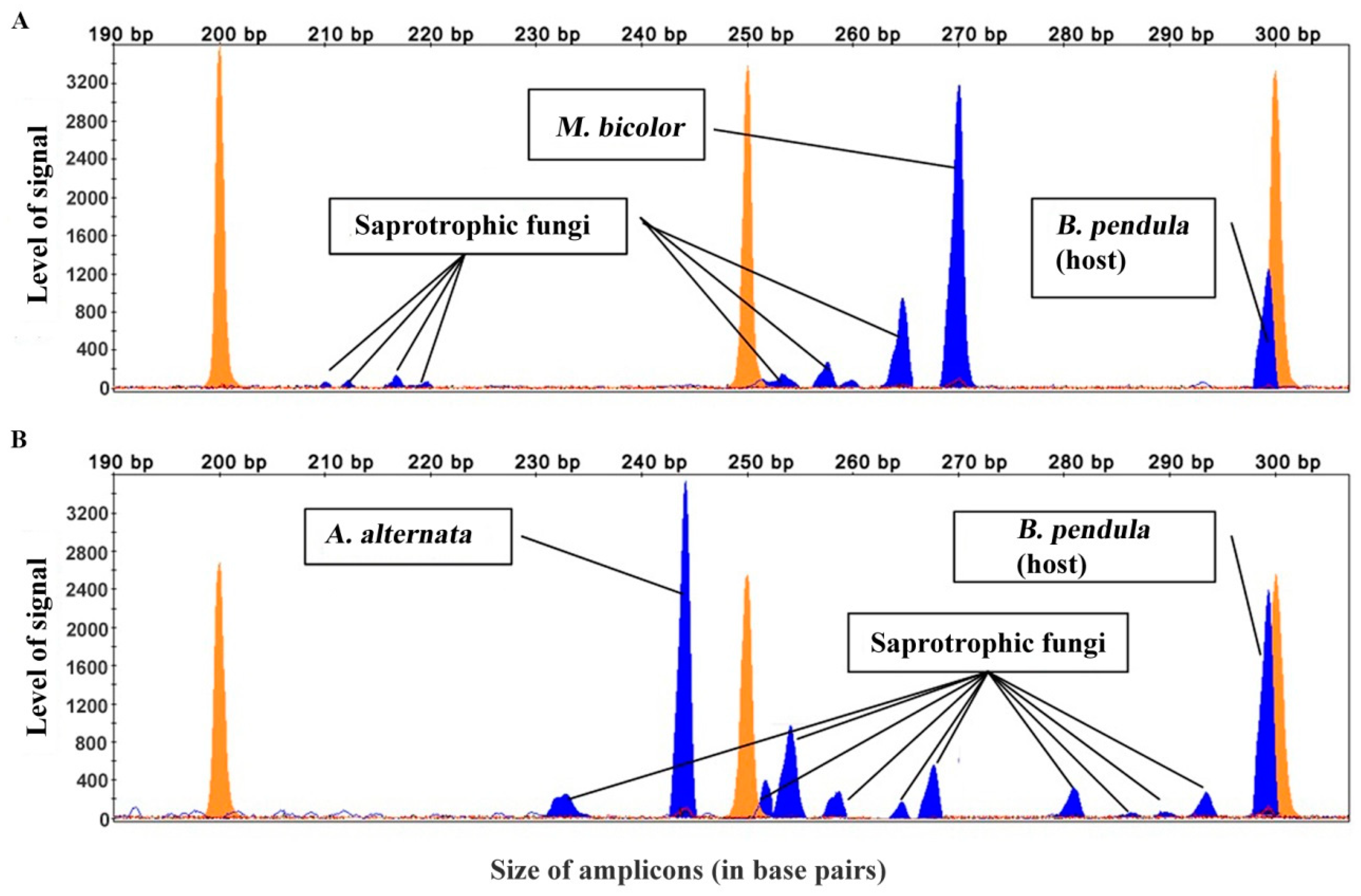 Forests 09 00732 g002