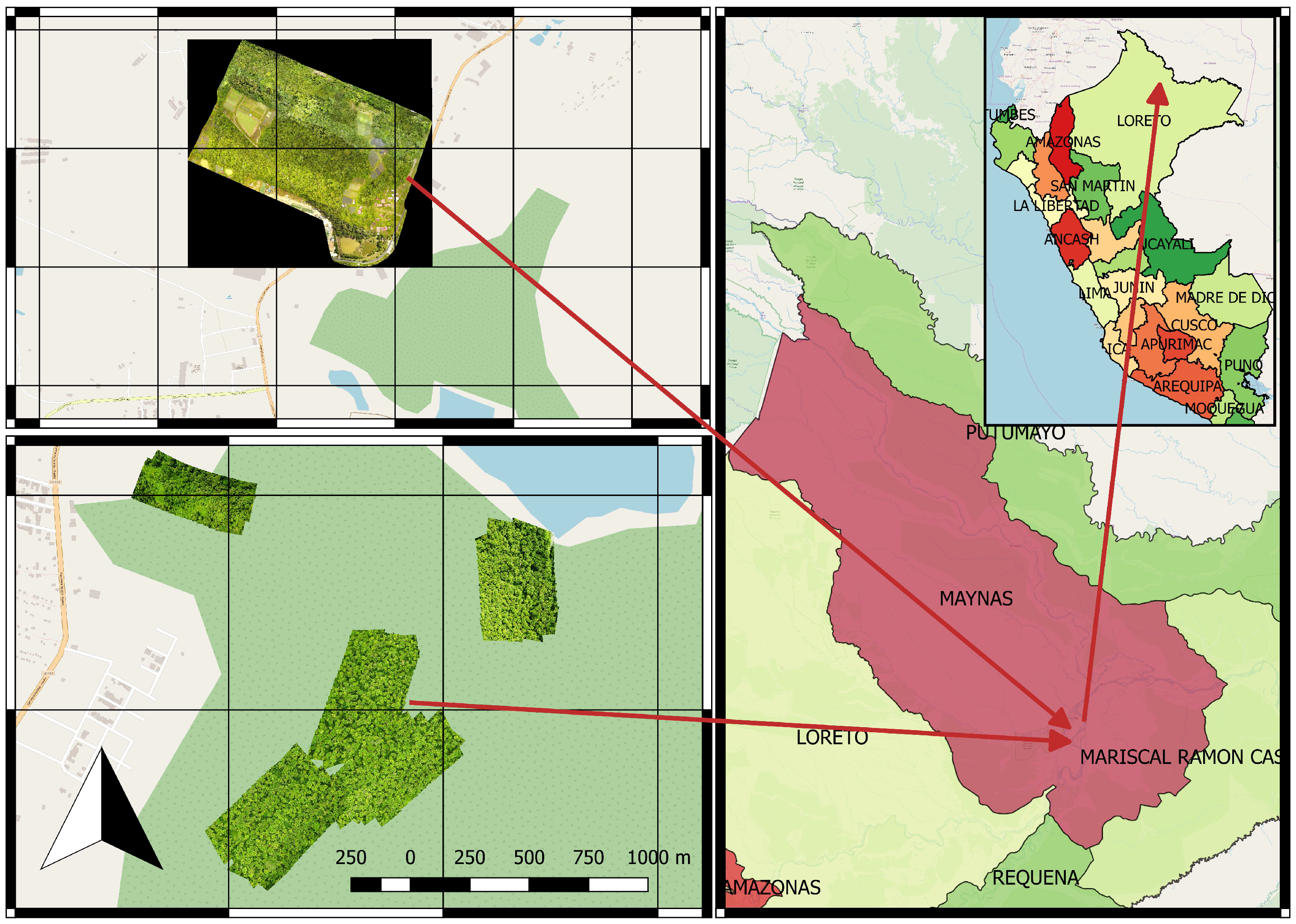Forests 09 00736 g002 Forests 09 00736 g002