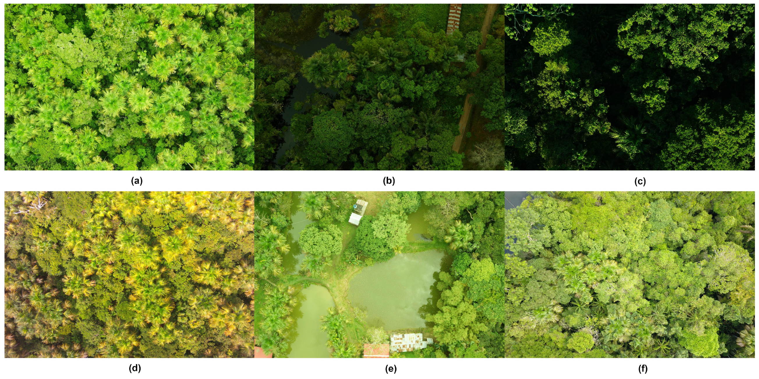 Forests 09 00736 g003 Forests 09 00736 g003