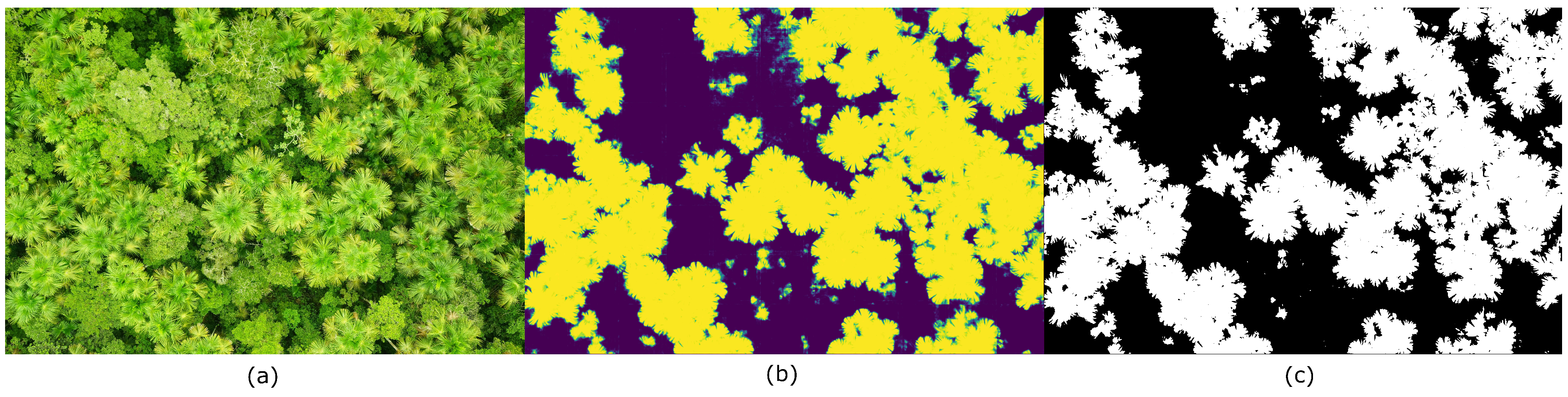 Forests 09 00736 g011 Forests 09 00736 g011