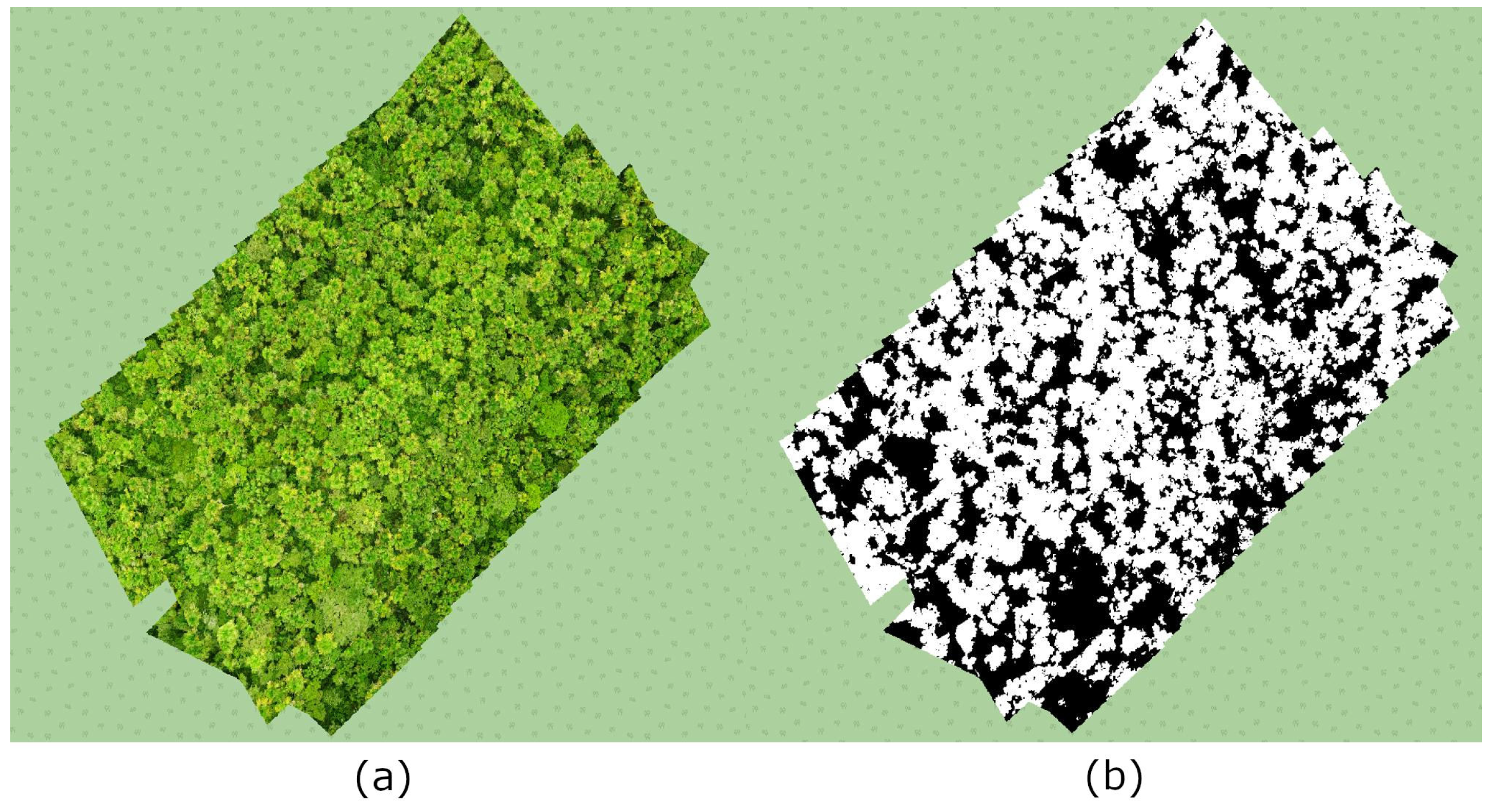 Forests 09 00736 g012 Forests 09 00736 g012