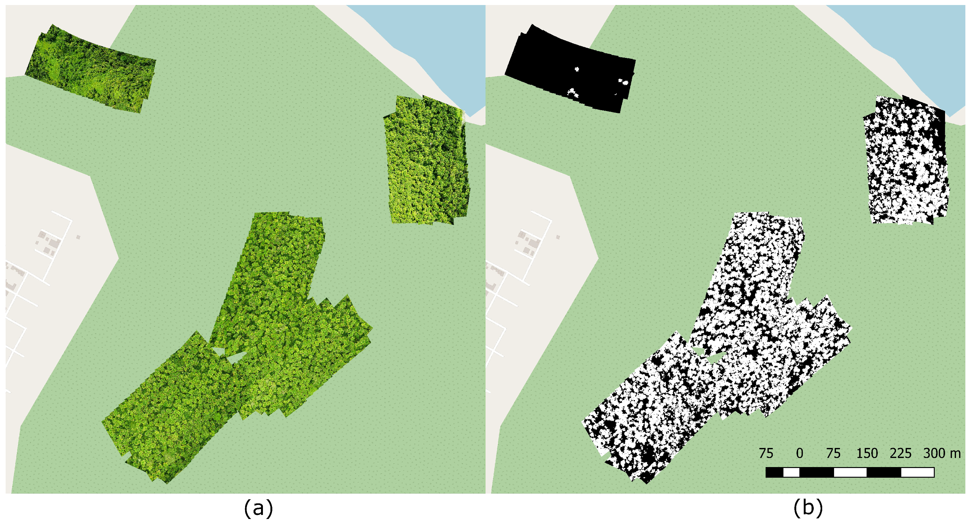 Forests 09 00736 g013 Forests 09 00736 g013