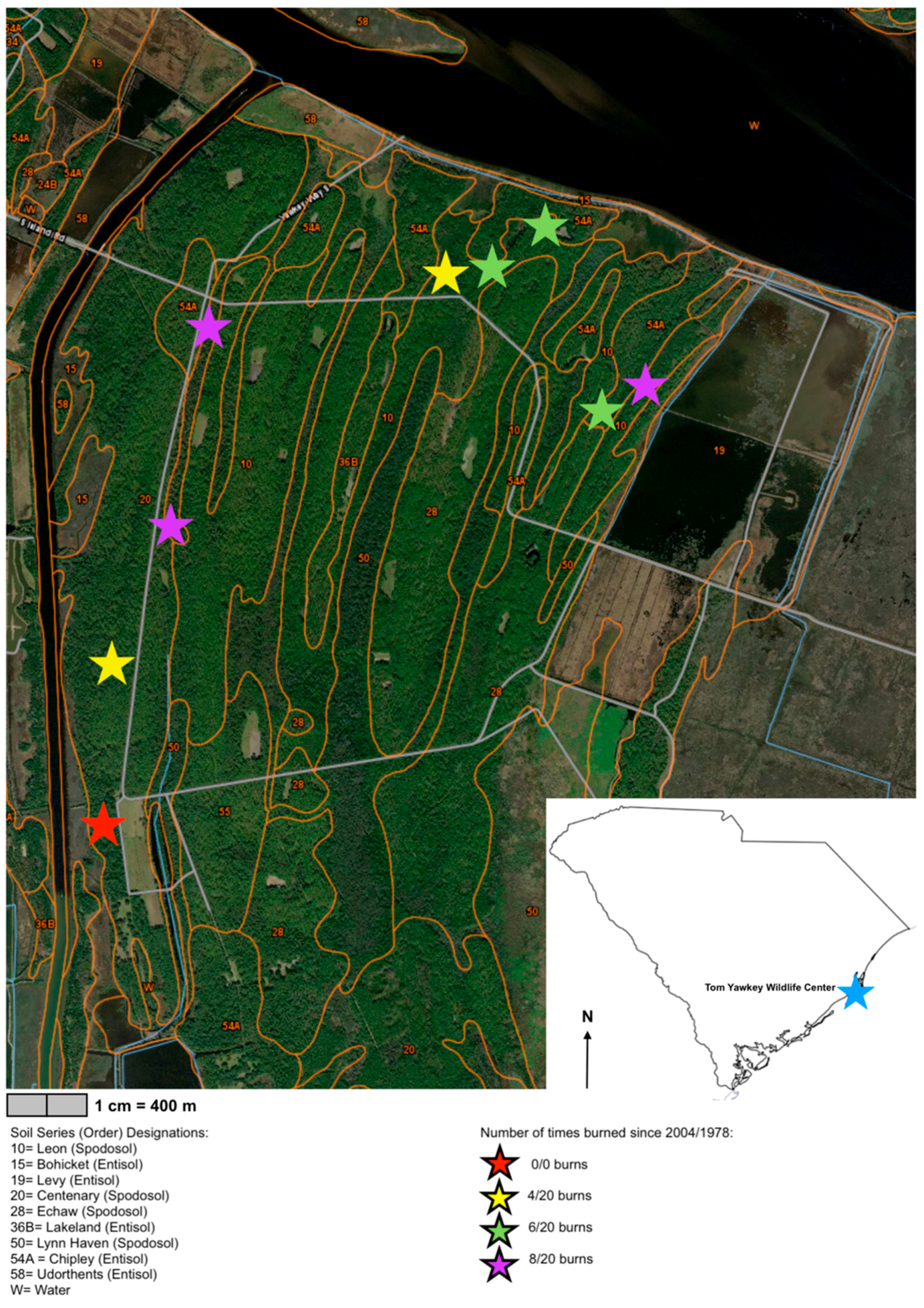 Forests 09 00739 g001