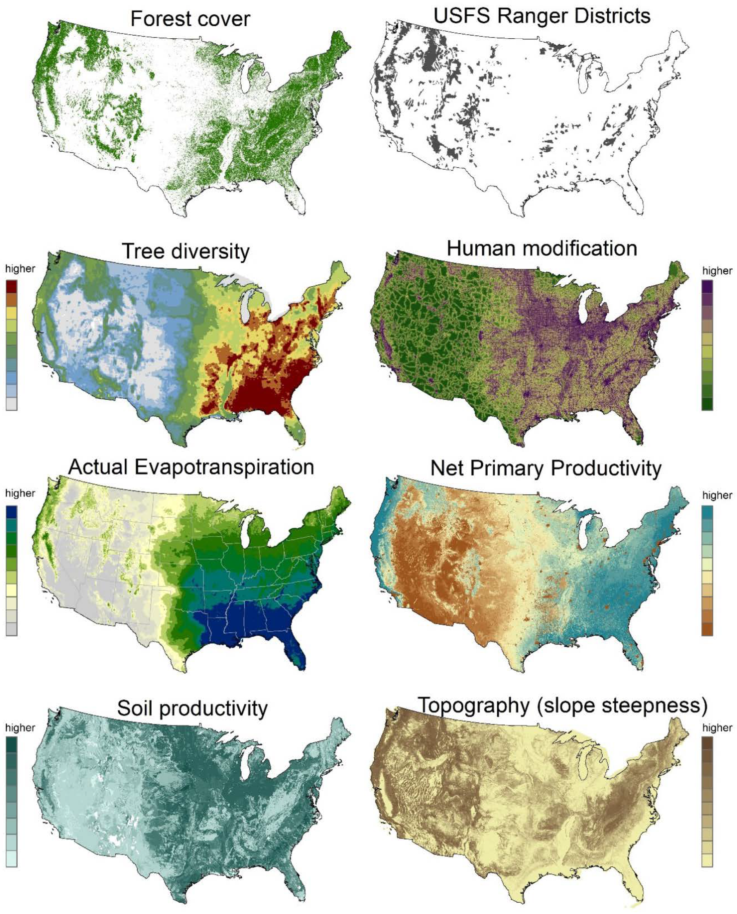 Forests 09 00753 g001