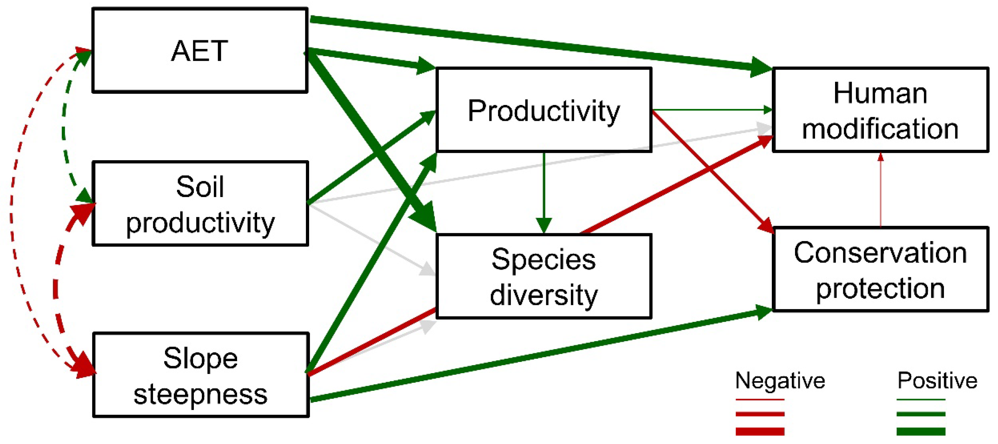 Forests 09 00753 g004