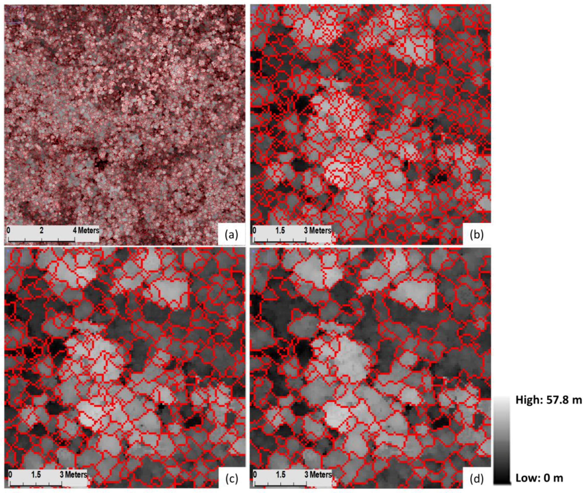Forests 09 00759 g006 Forests 09 00759 g006