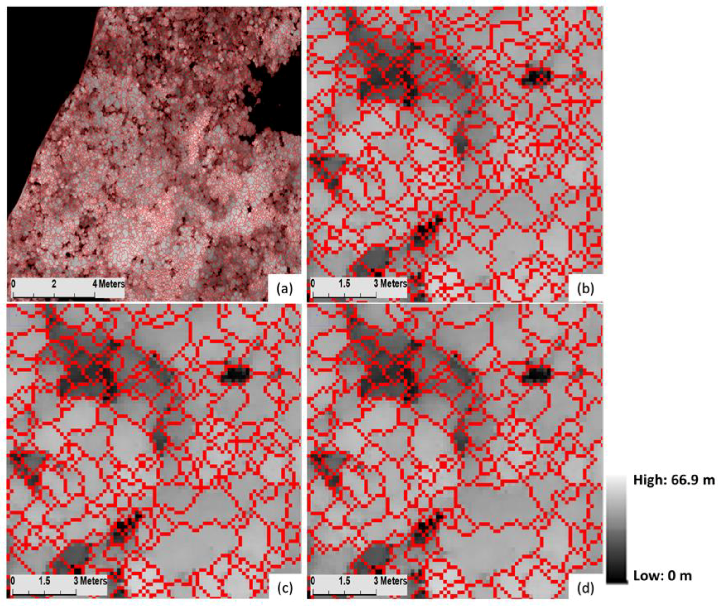 Forests 09 00759 g007 Forests 09 00759 g007