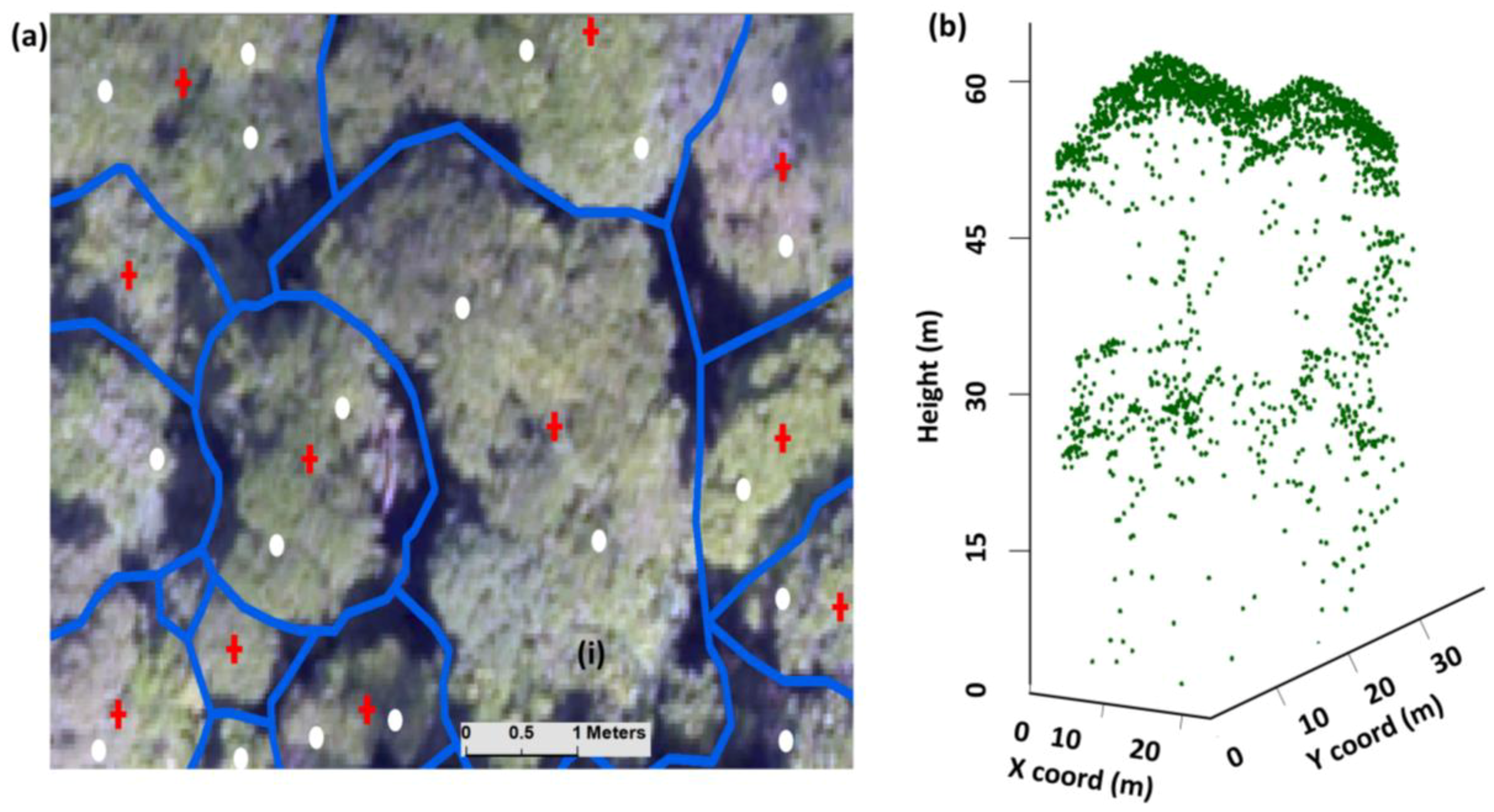 Forests 09 00759 g008 Forests 09 00759 g008