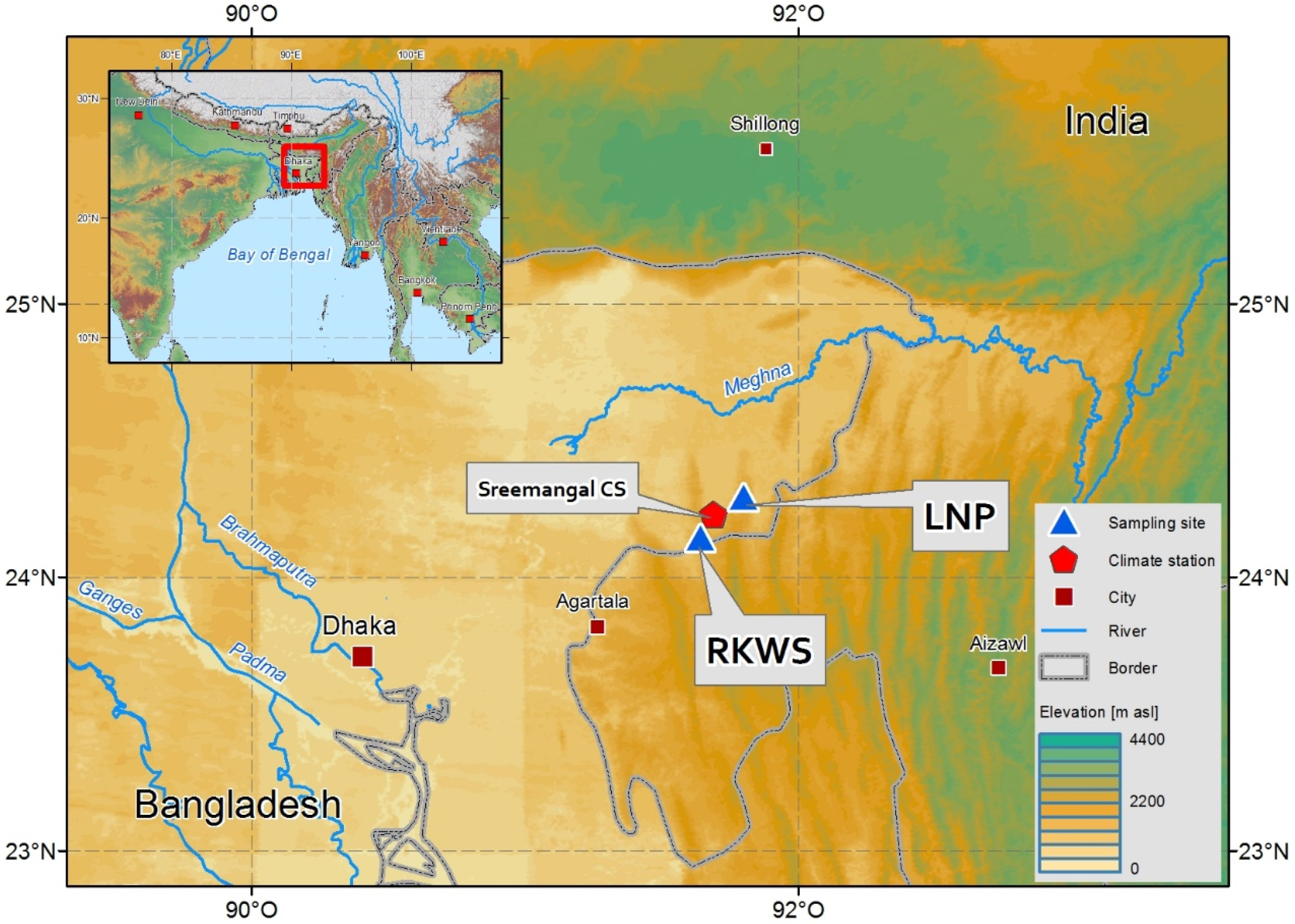 Forests 09 00761 g001