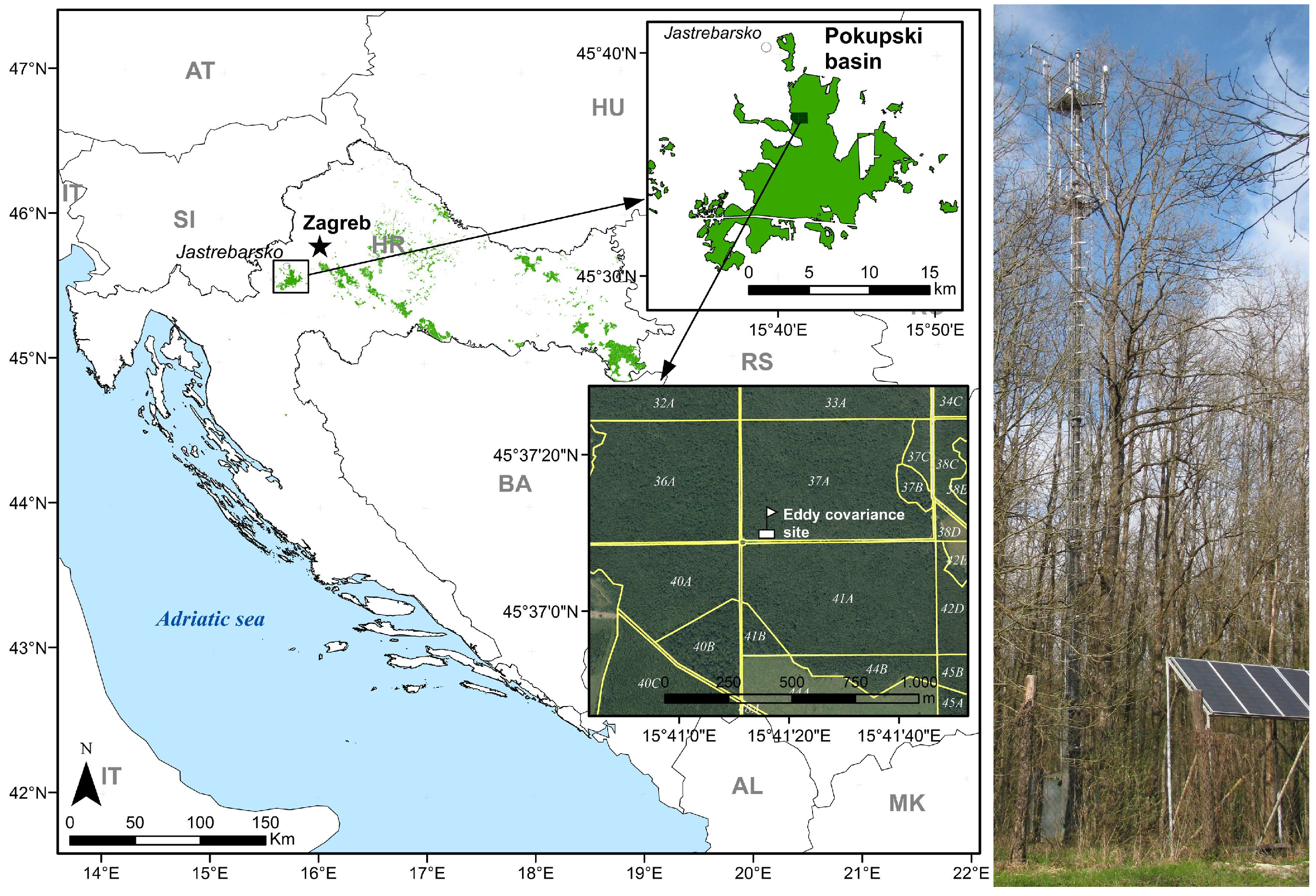 Forests 09 00764 g001 Forests 09 00764 g001
