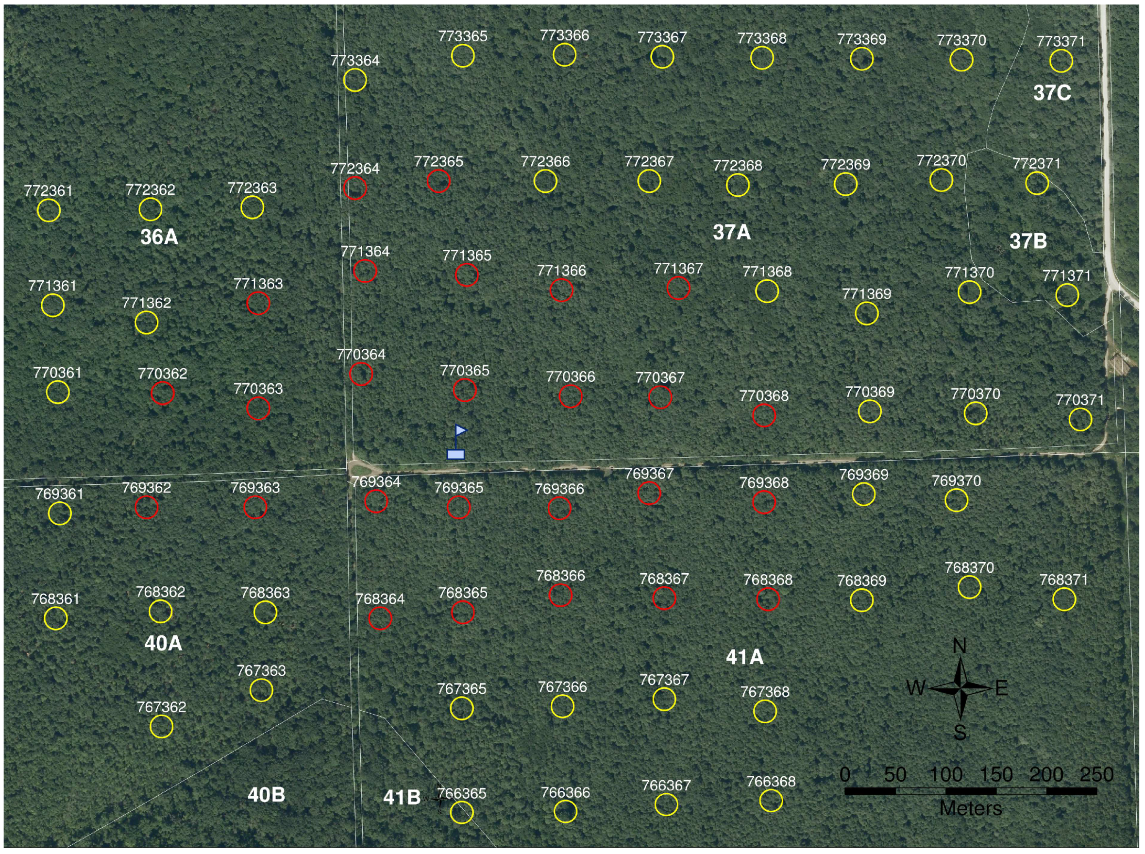 Forests 09 00764 g0a1 Forests 09 00764 g0a1