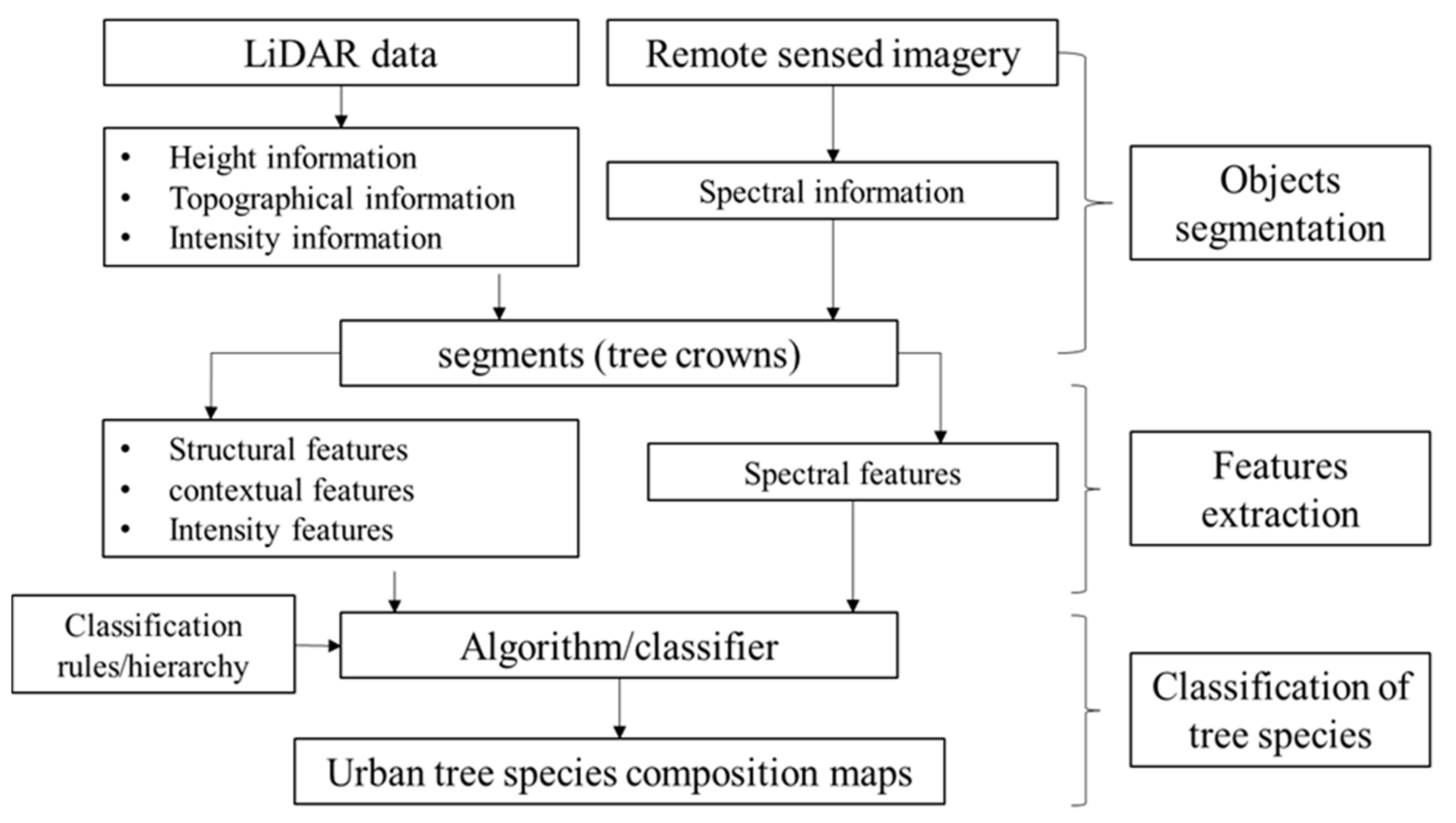 A Review: Individual Tree Species Classification Using Integrated ...