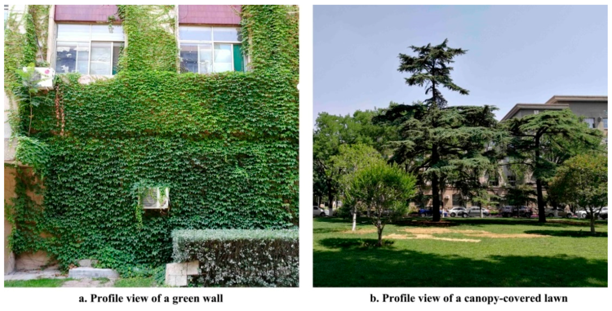 Forests 10 00003 g001