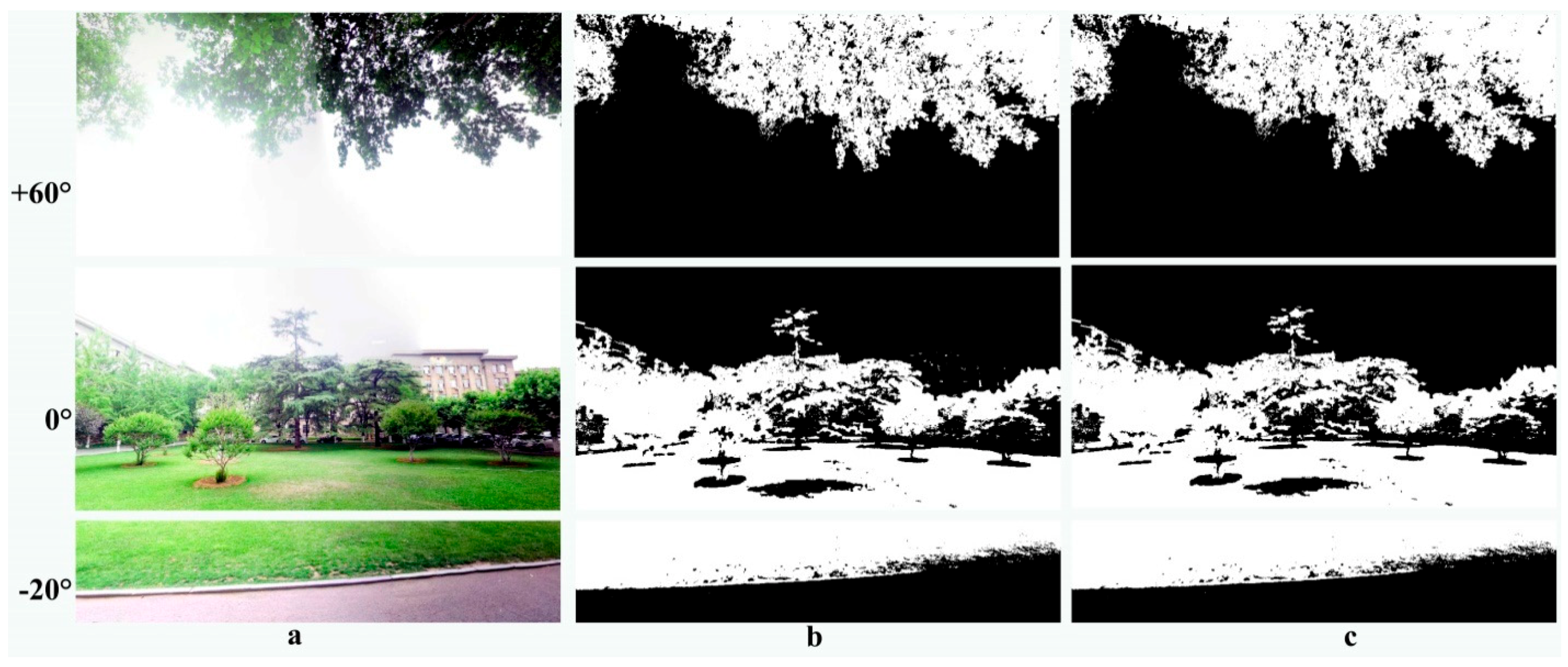 Forests 10 00003 g006