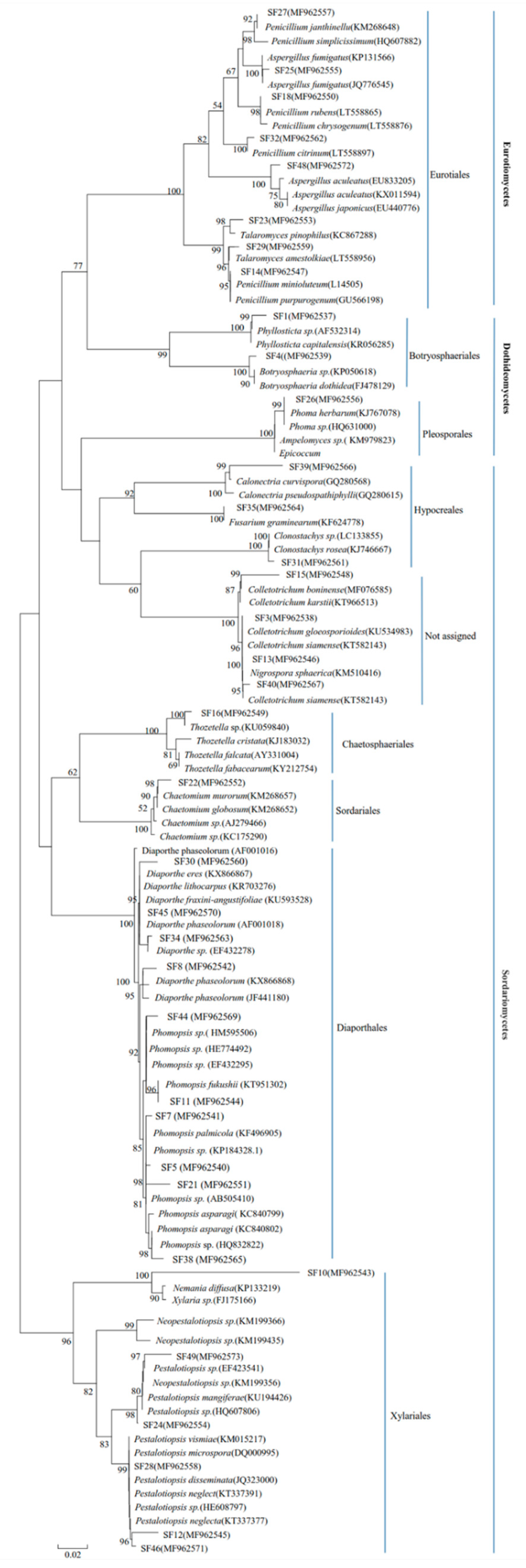 Forests 10 00033 g001
