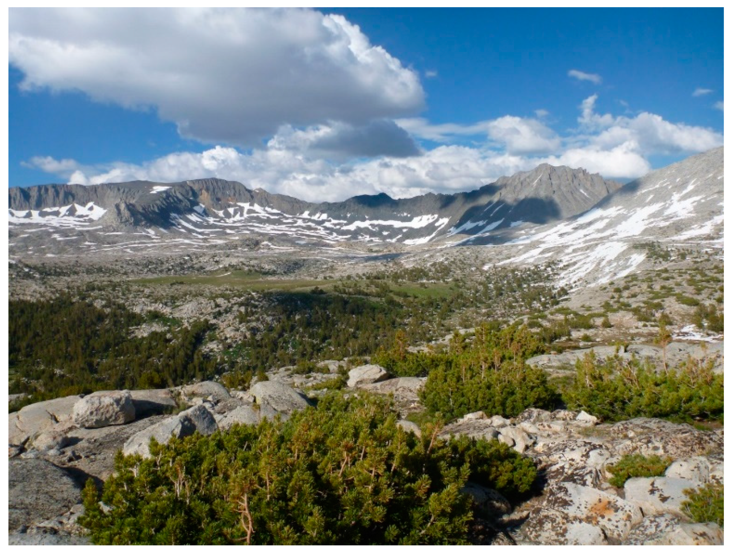 Forests 10 00035 g002