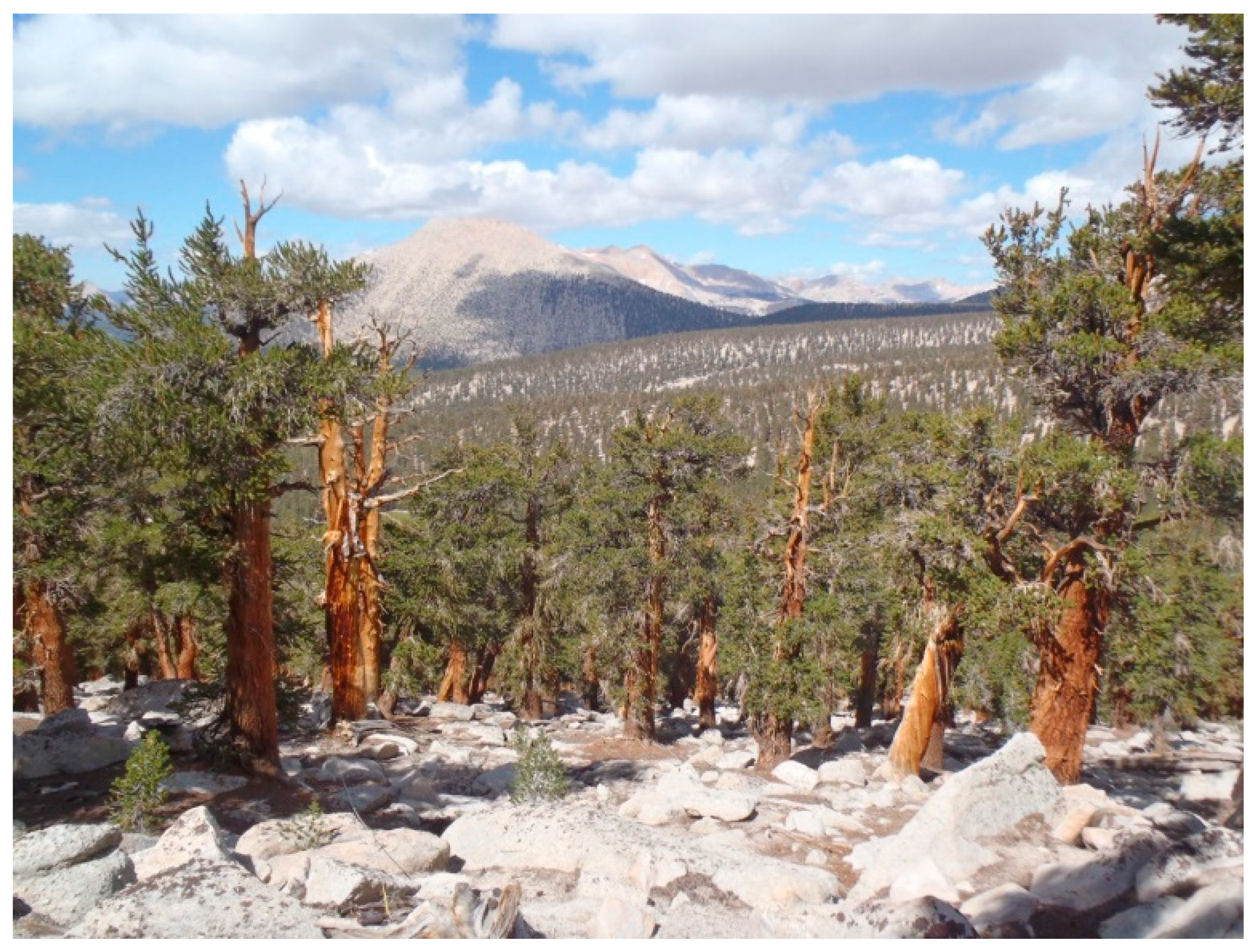 Forests 10 00035 g003