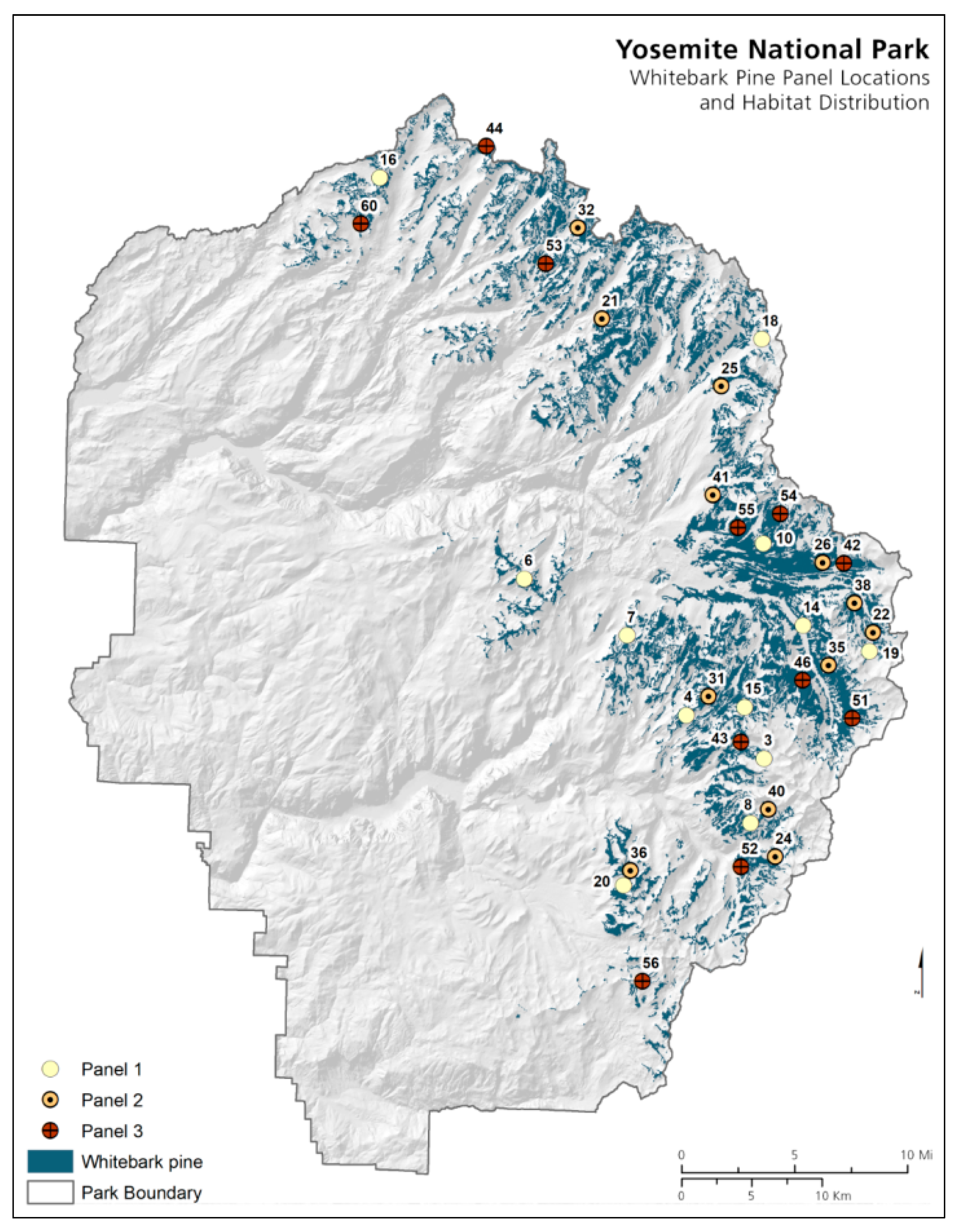 Forests 10 00035 g004