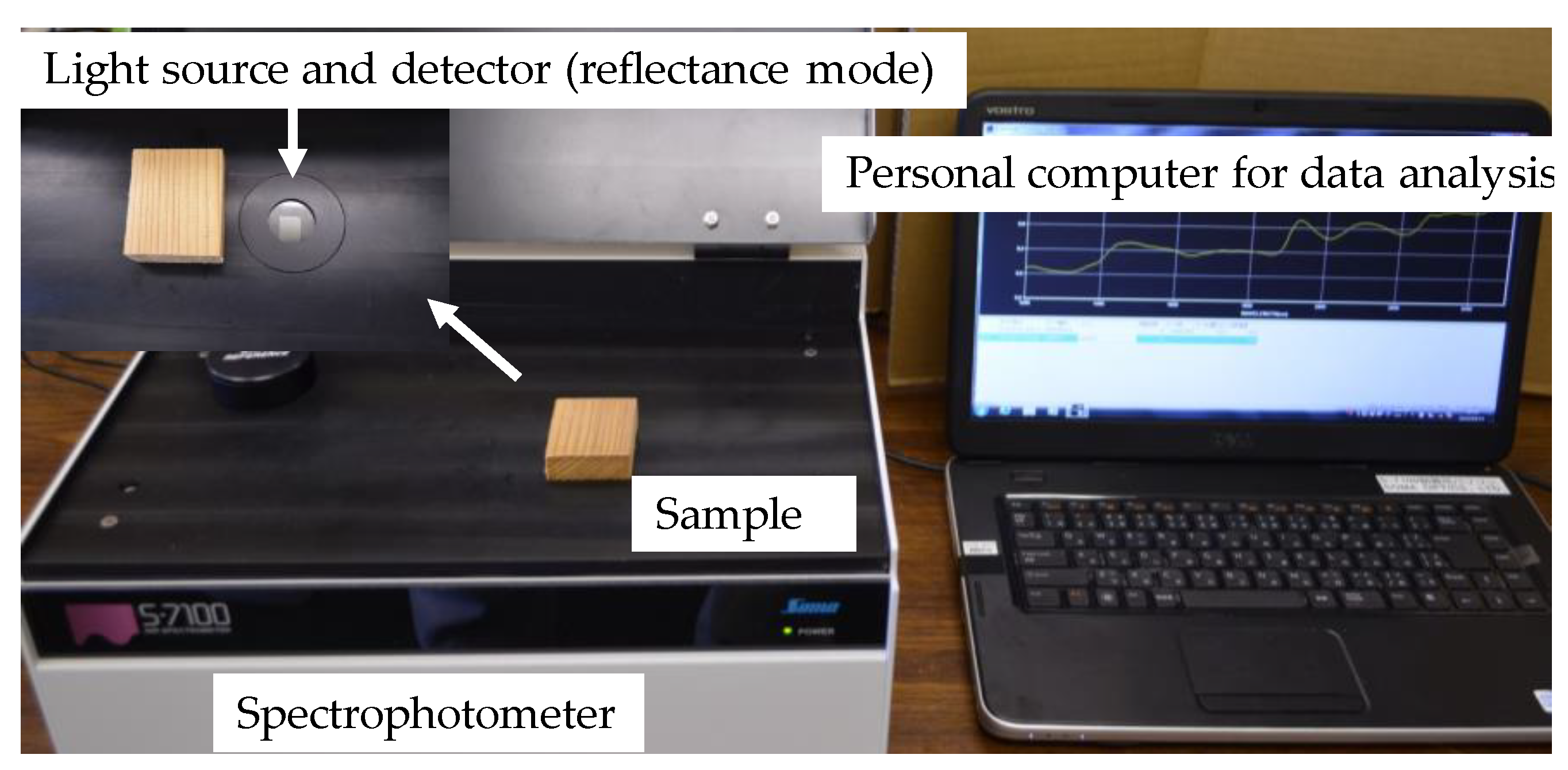 Forests 10 00064 g001