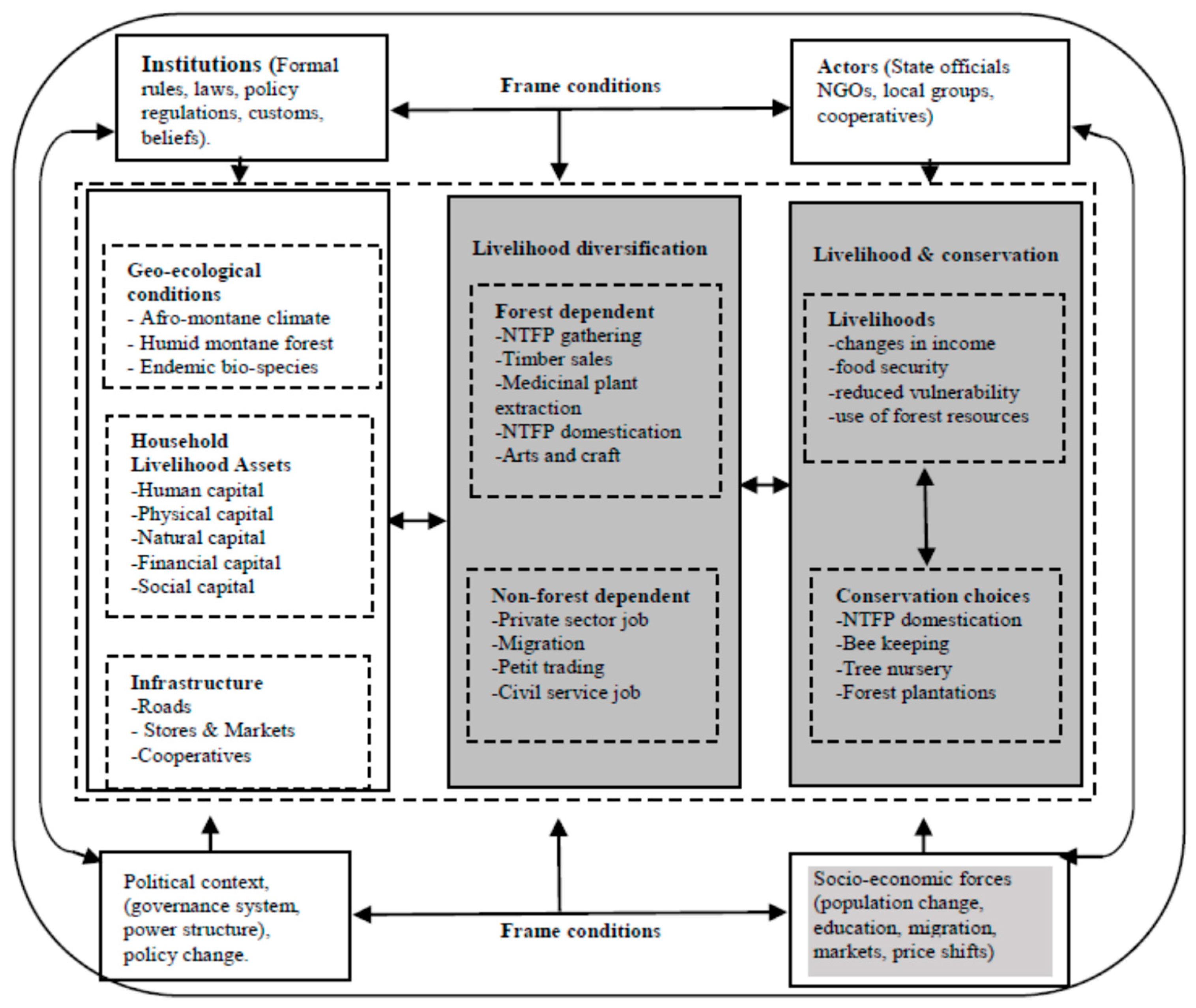 Forests 10 00081 g001
