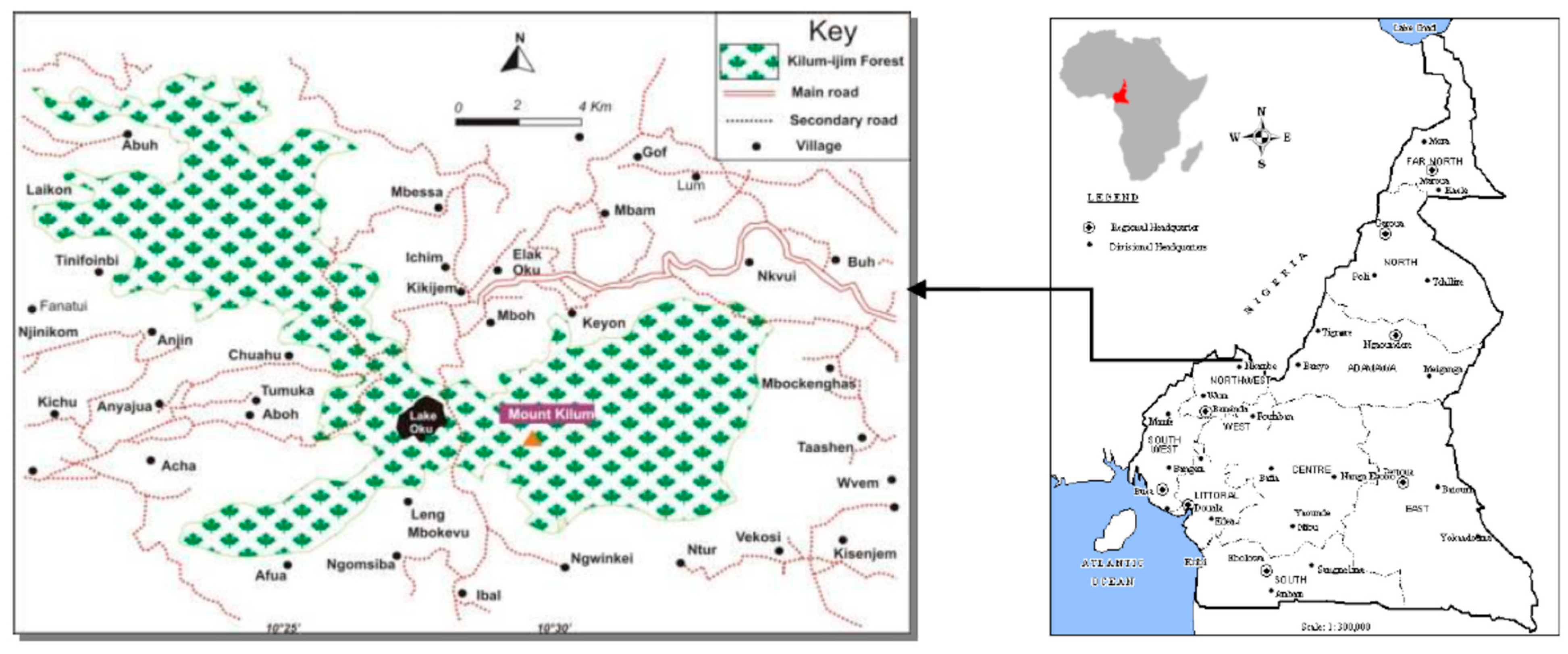 Forests 10 00081 g002