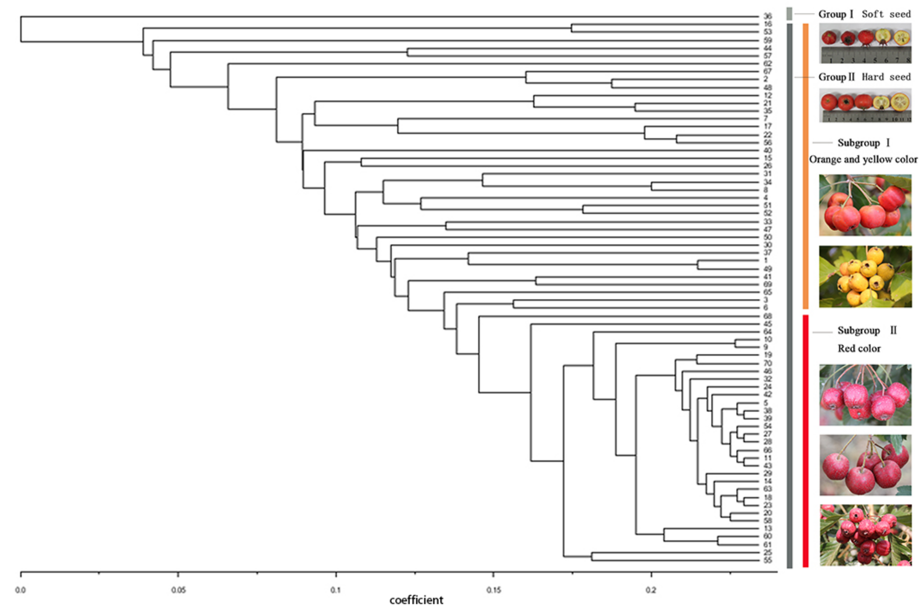 Forests 10 00082 g004