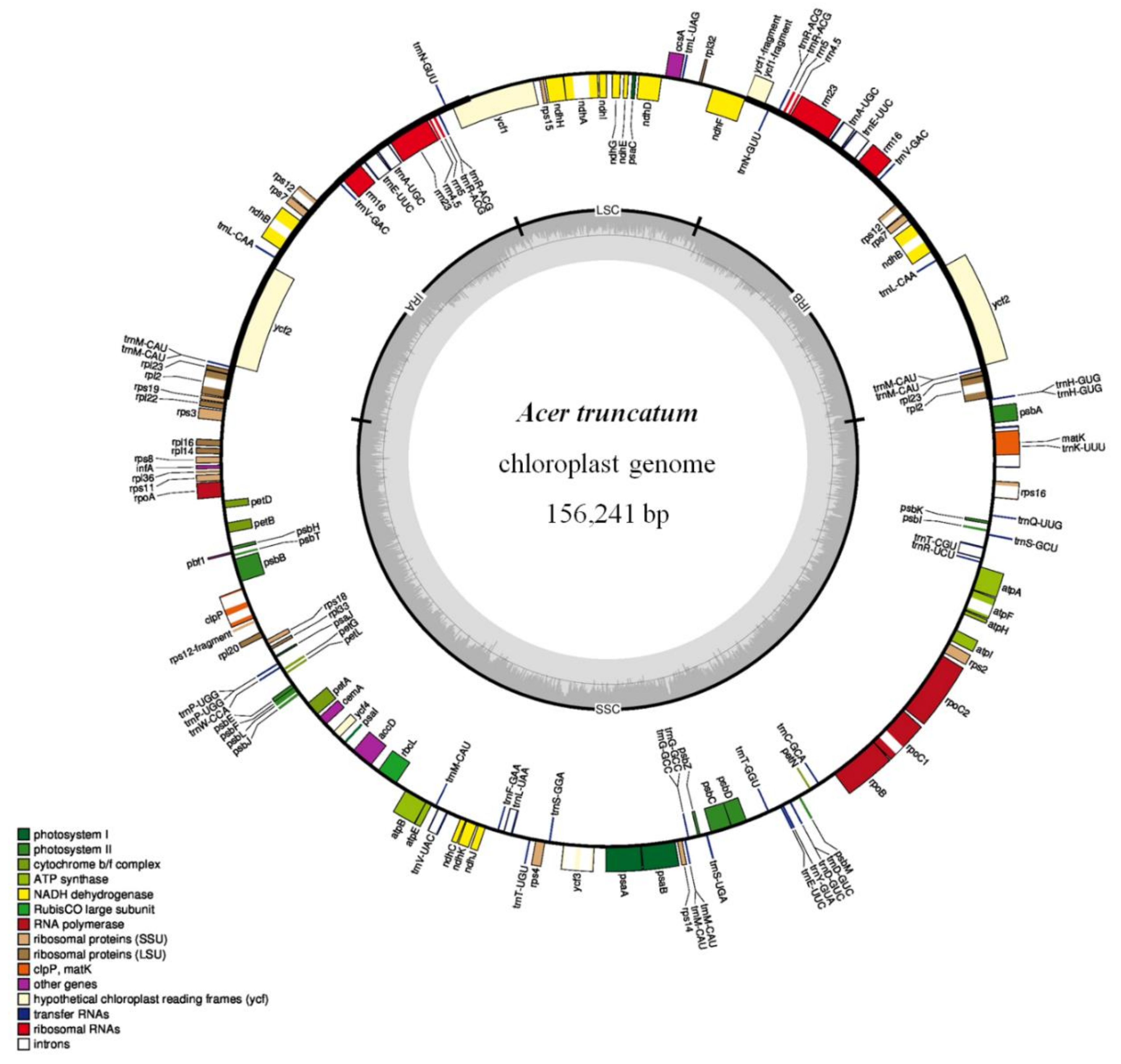 Forests 10 00087 g005