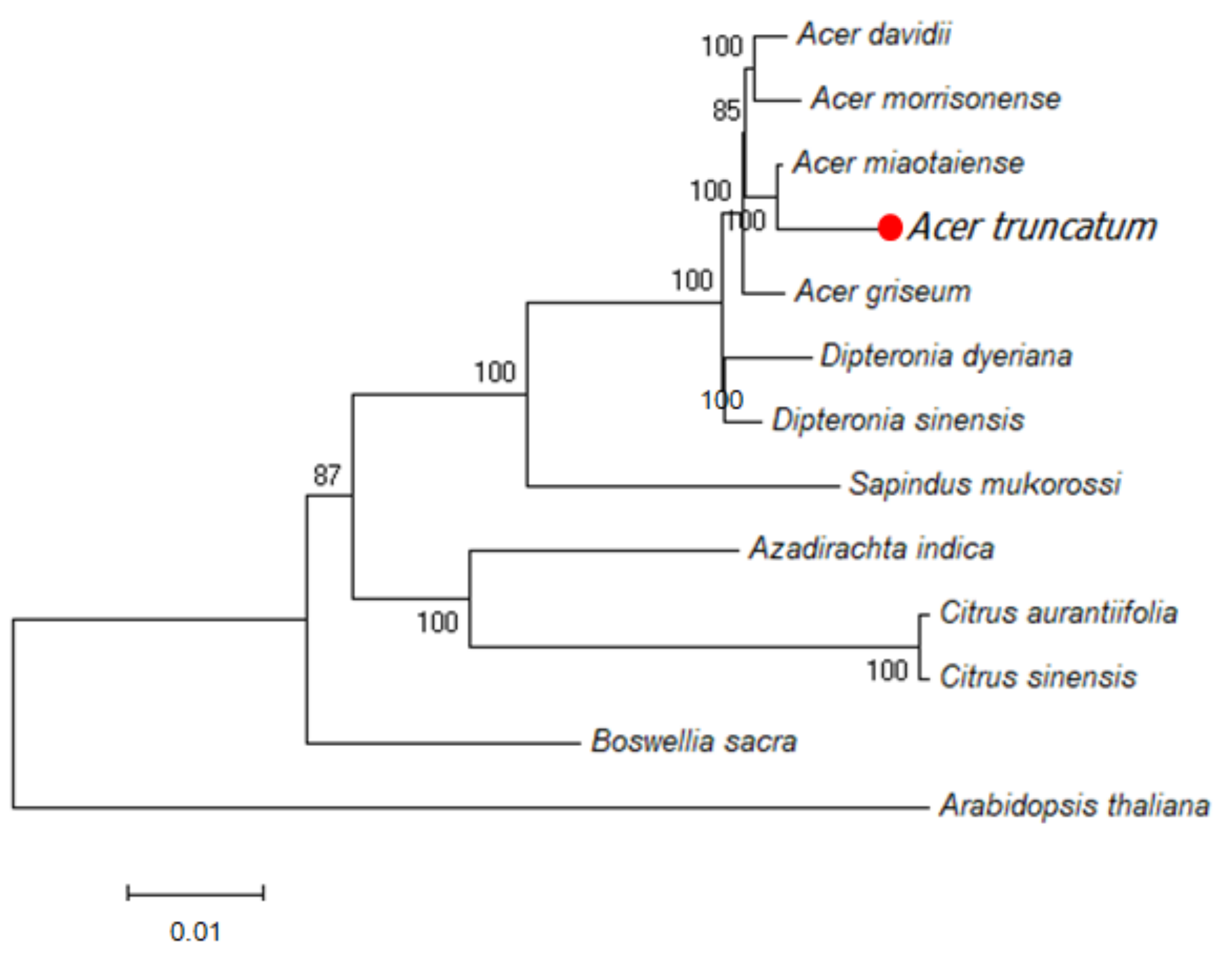 Forests 10 00087 g006