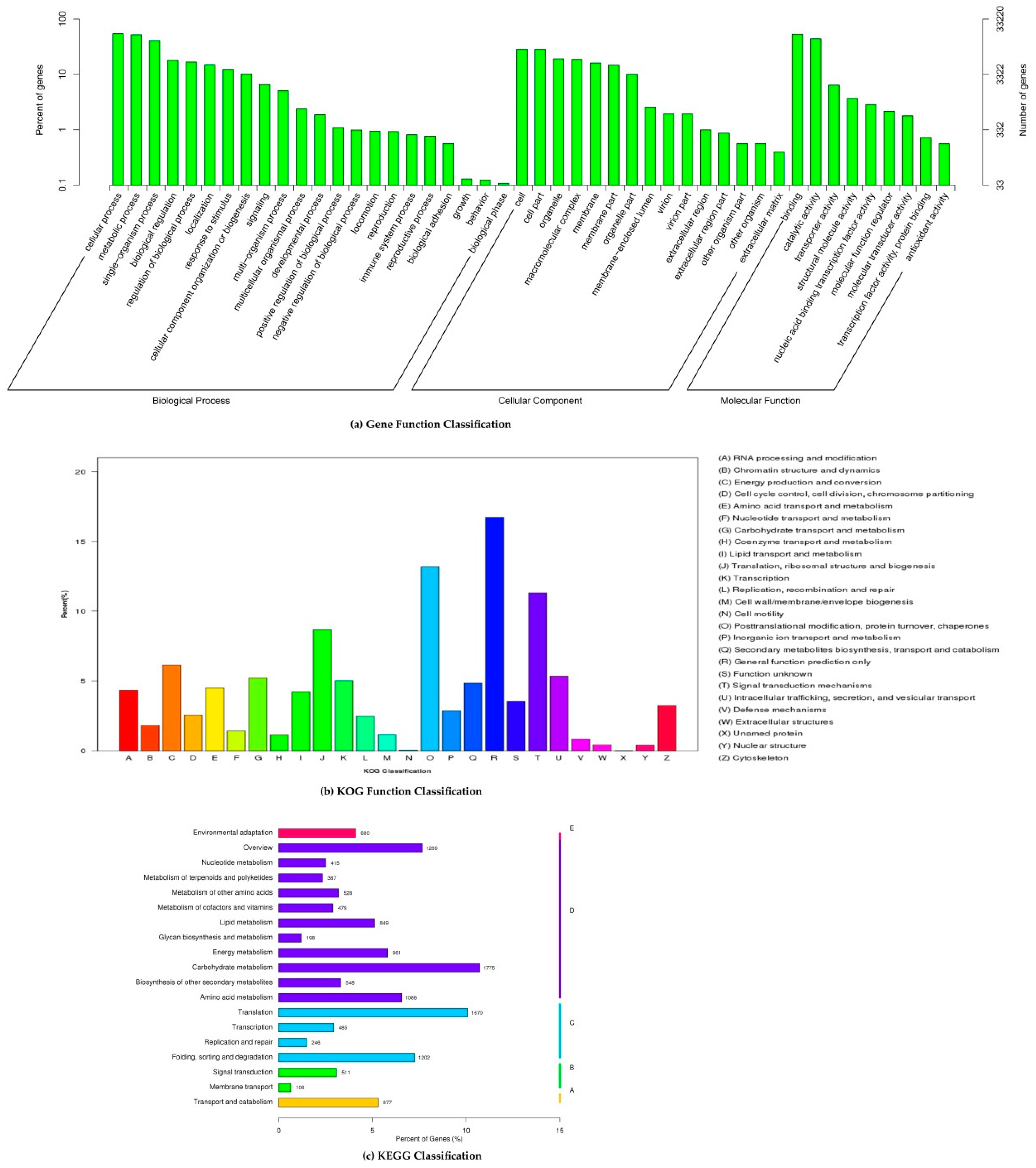 Forests 10 00098 g002