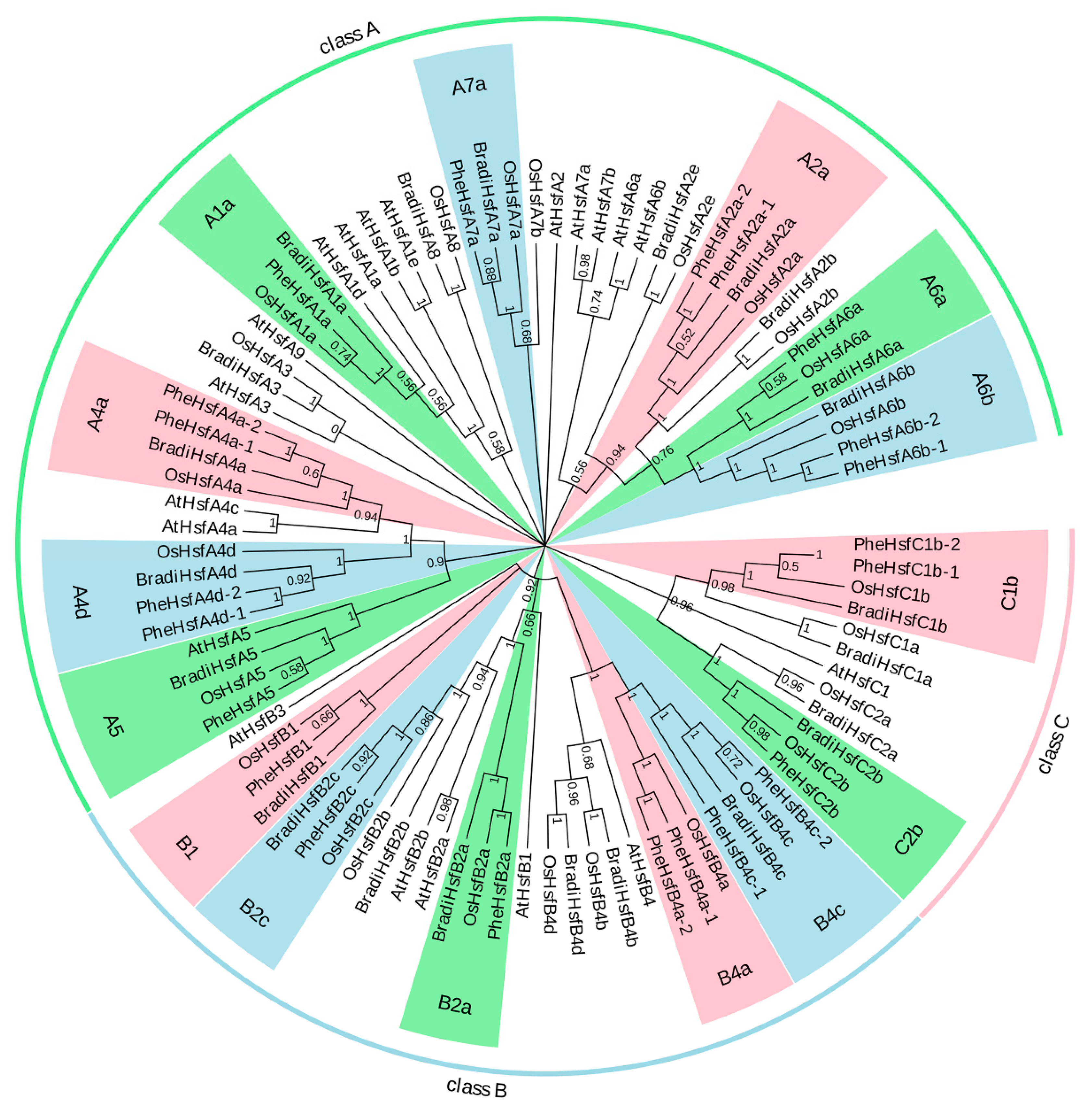 Forests 10 00100 g001