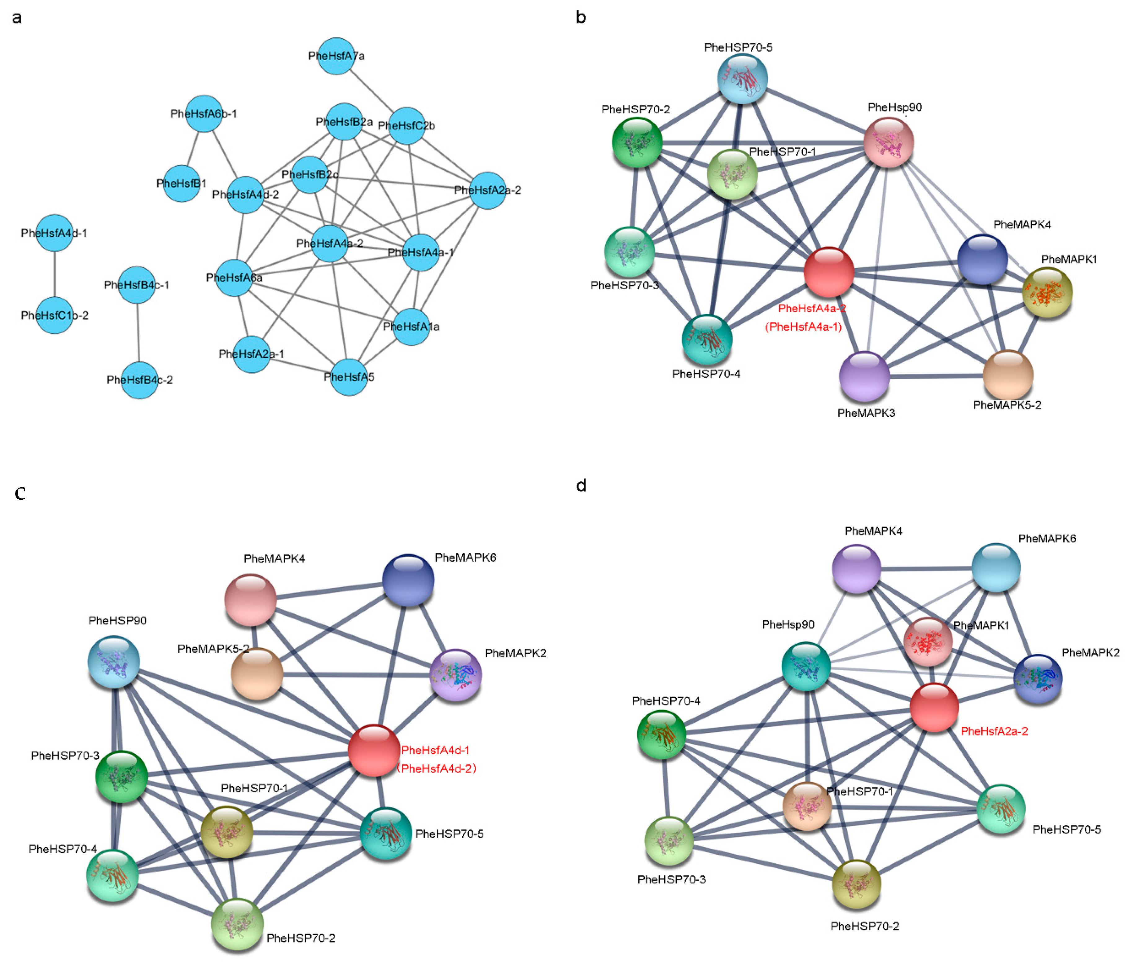 Forests 10 00100 g004