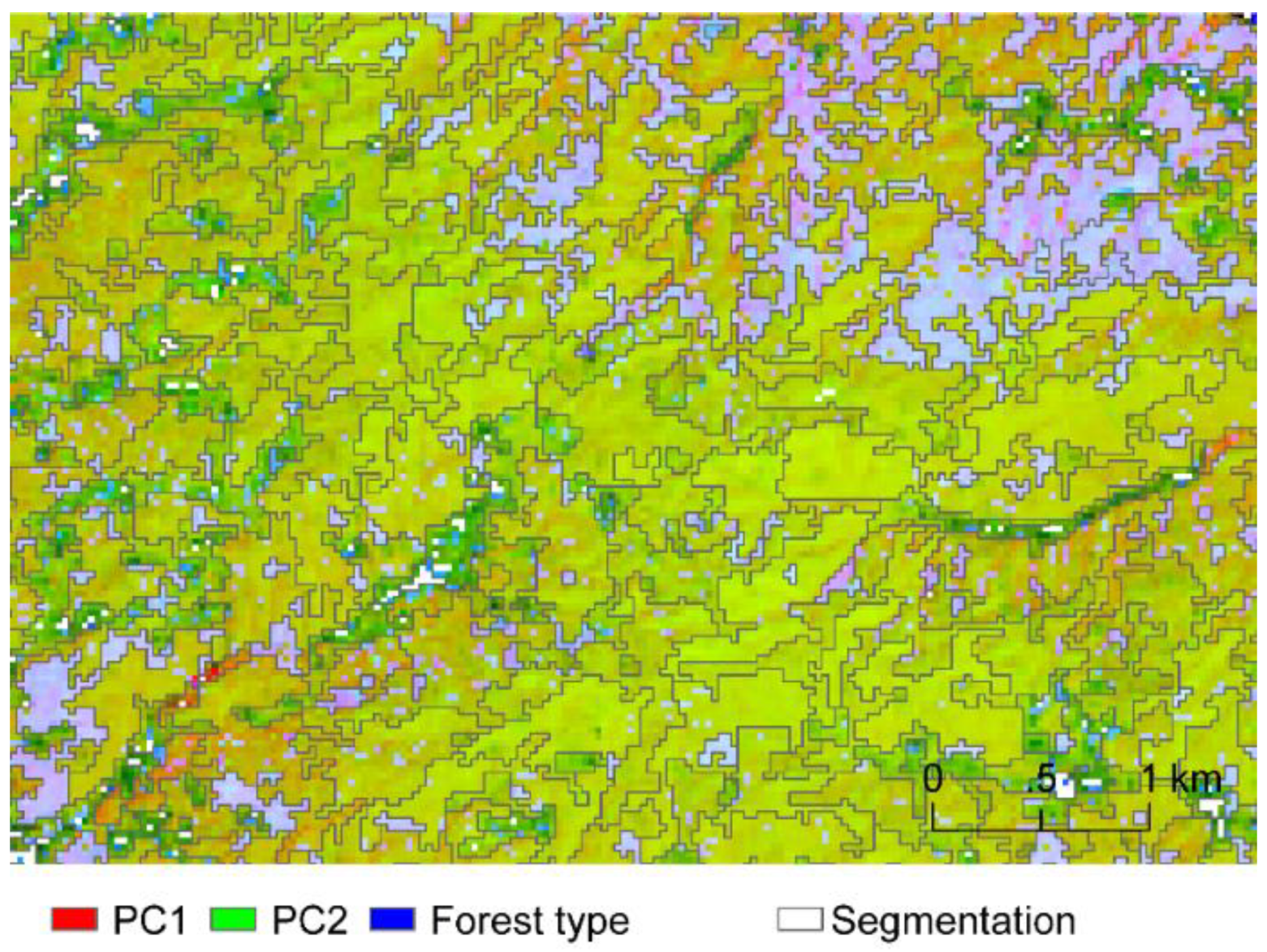 Forests 10 00105 g010