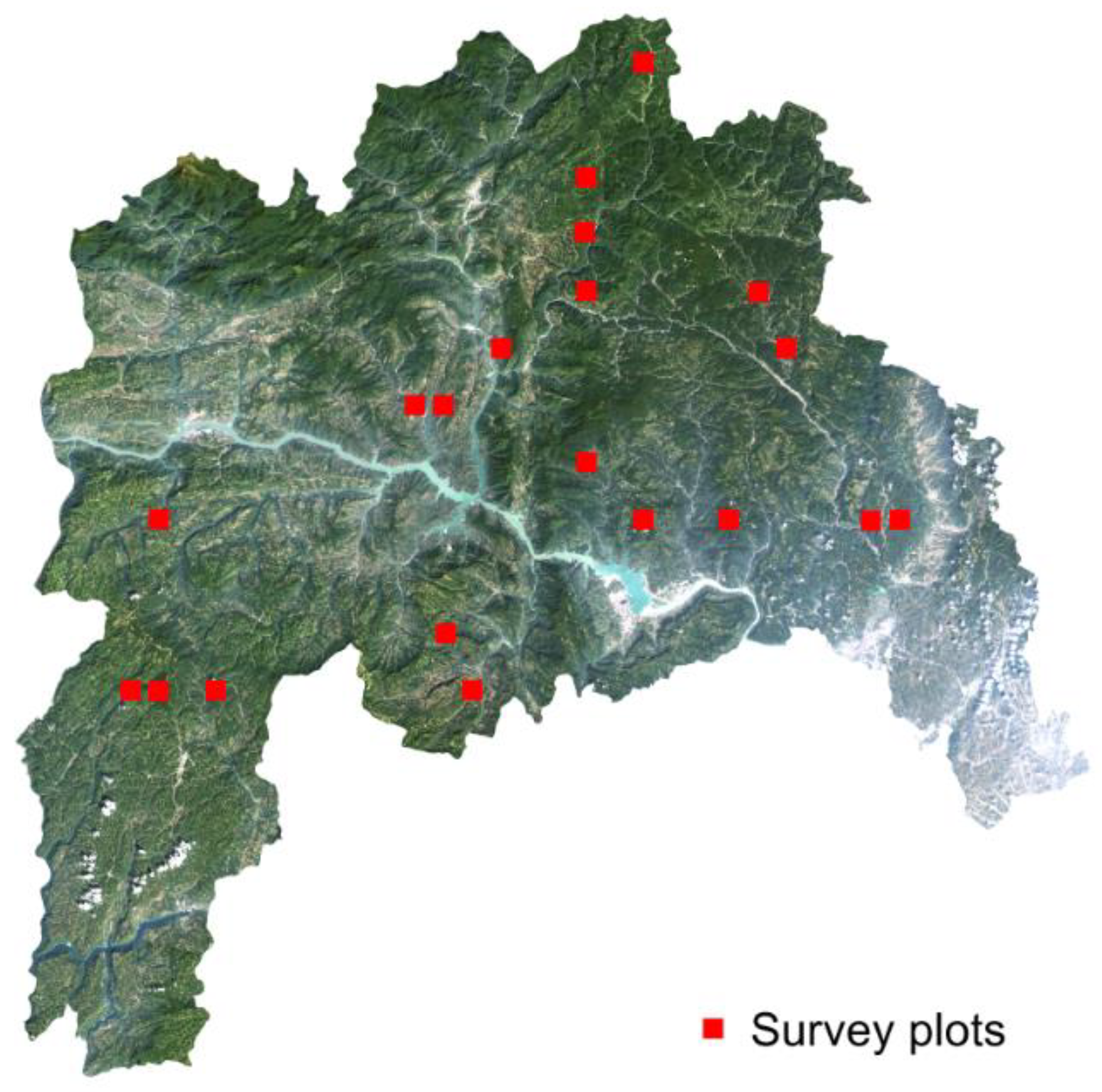 Forests 10 00105 g014