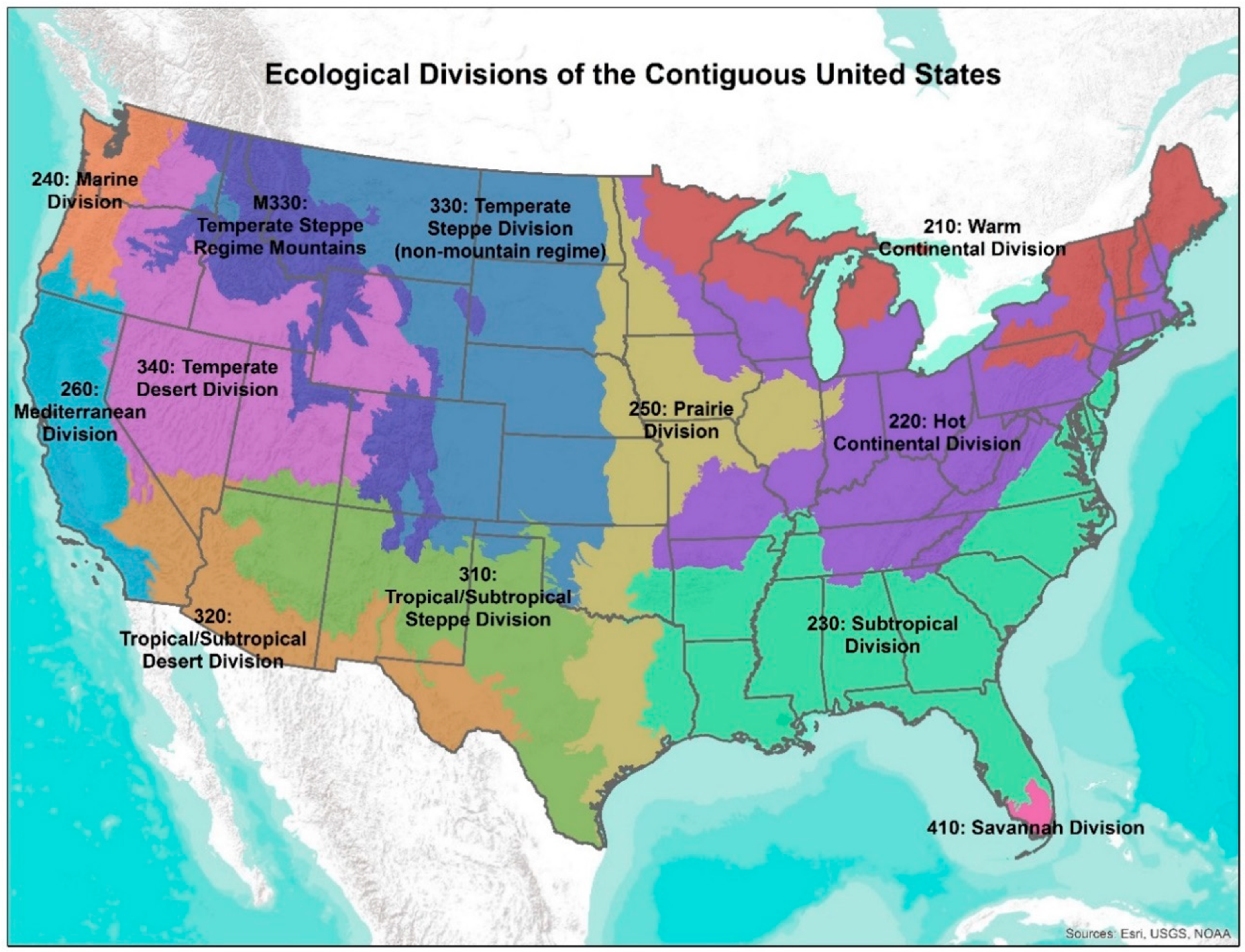 Forests 10 00114 g001