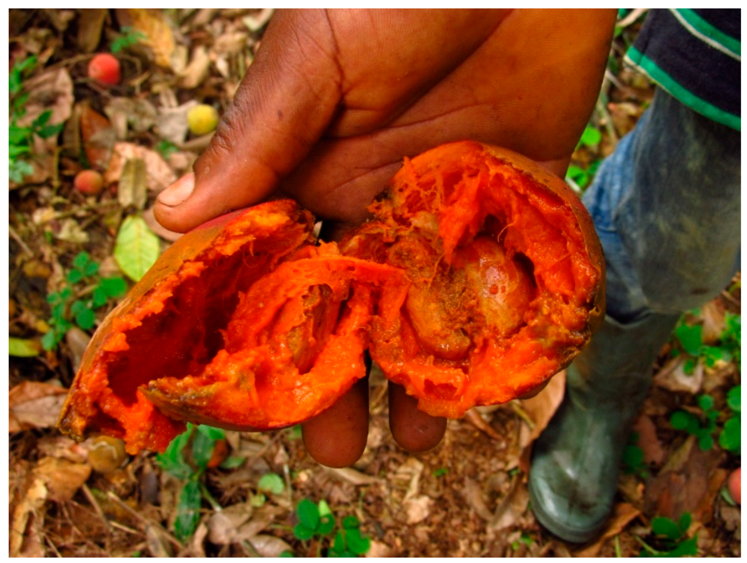 Forests 10 00124 g005