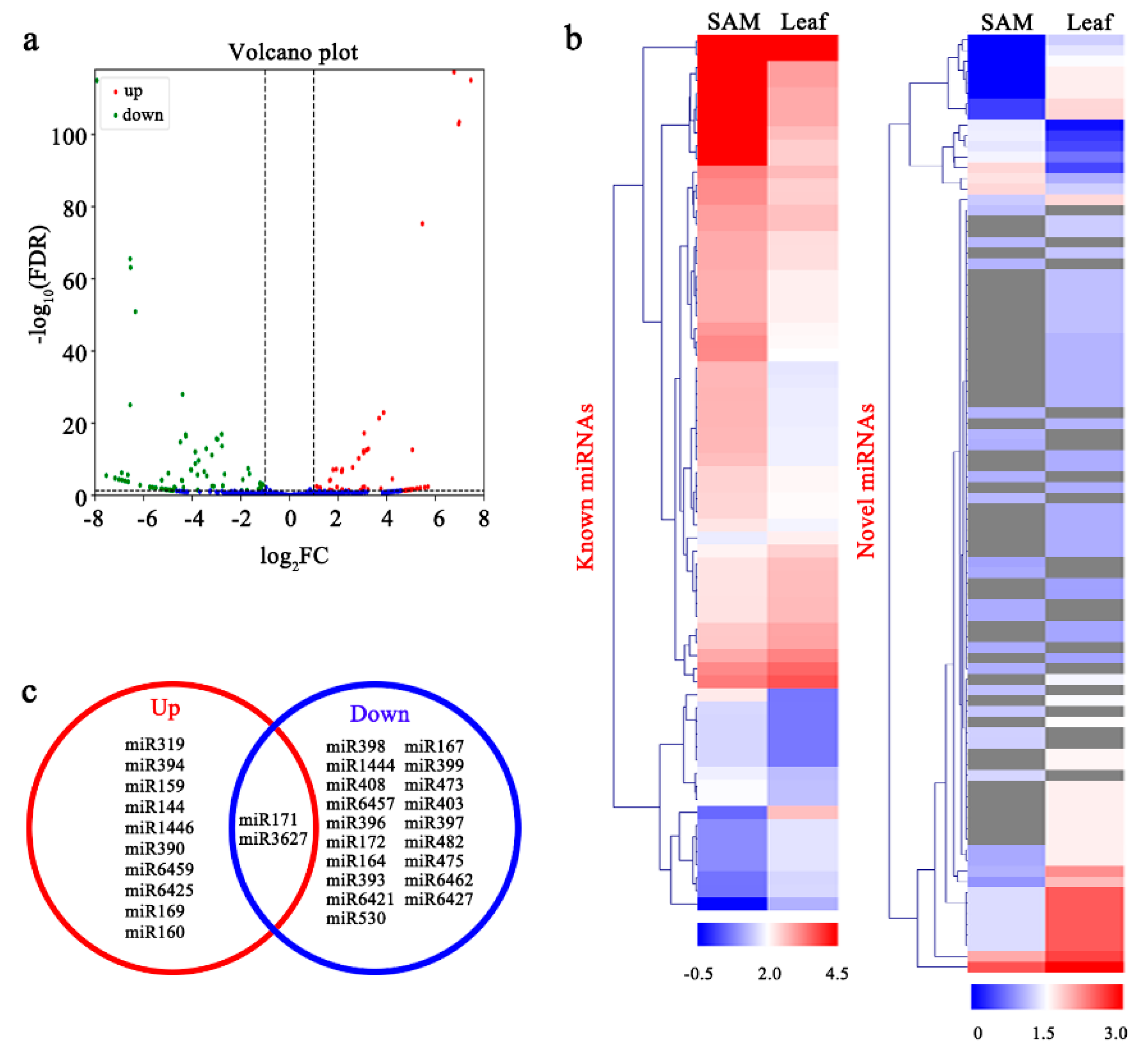 Forests 10 00130 g004