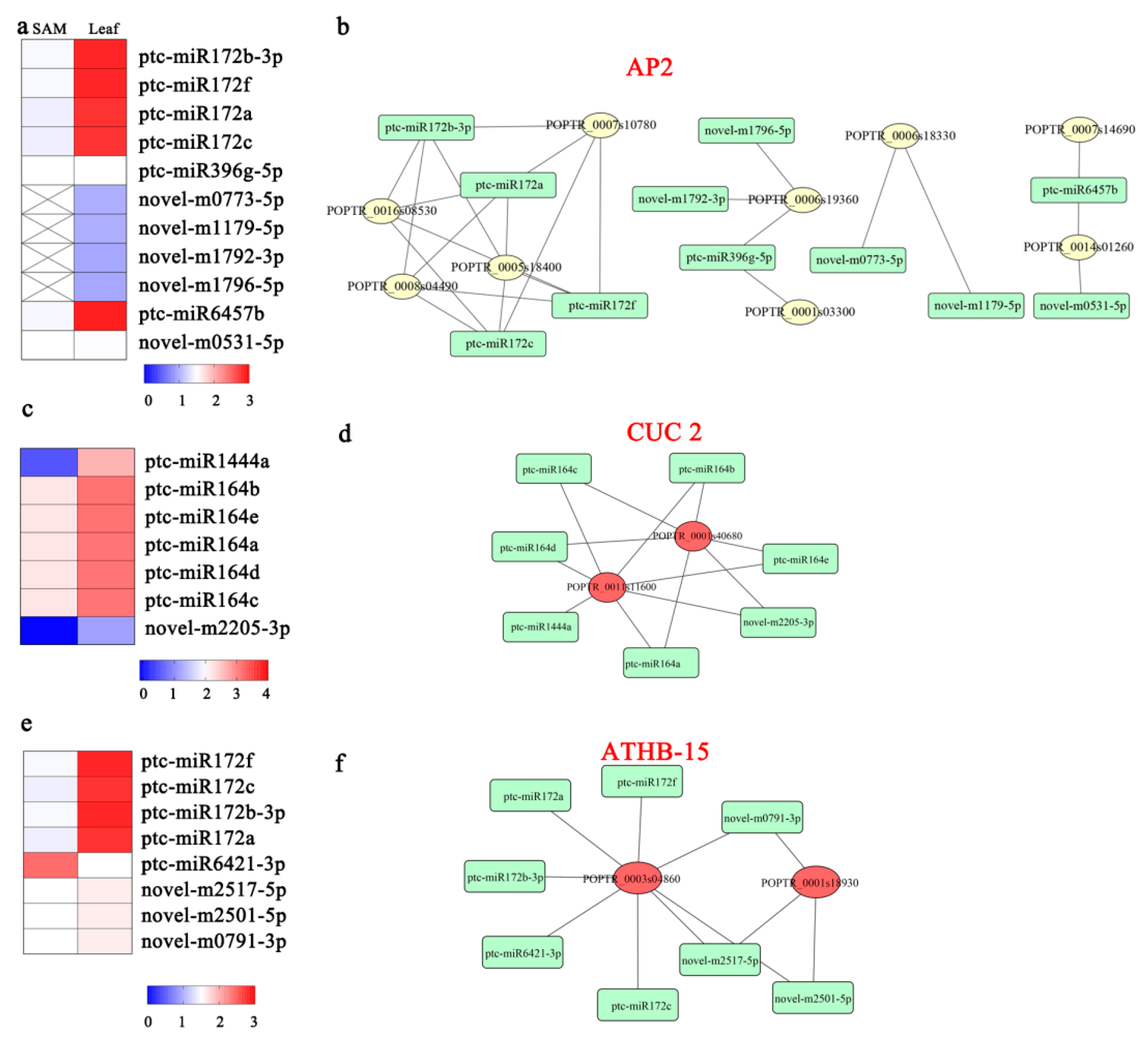 Forests 10 00130 g005