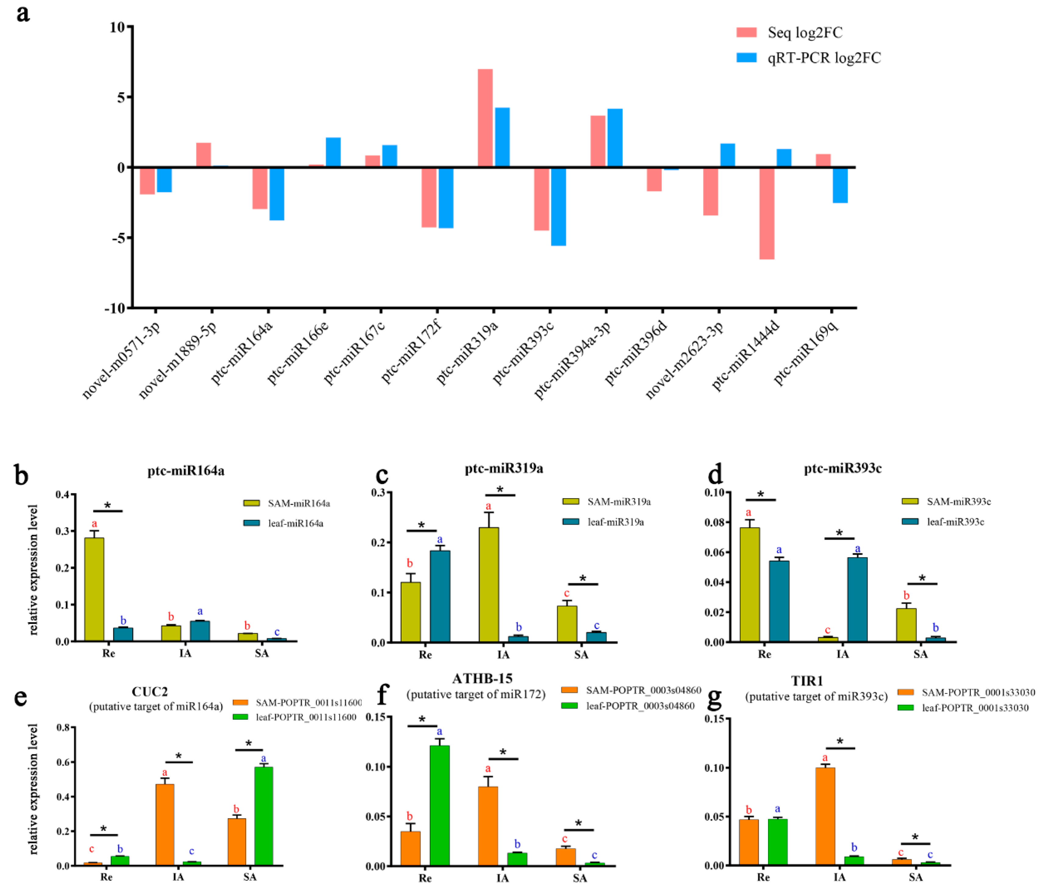 Forests 10 00130 g007