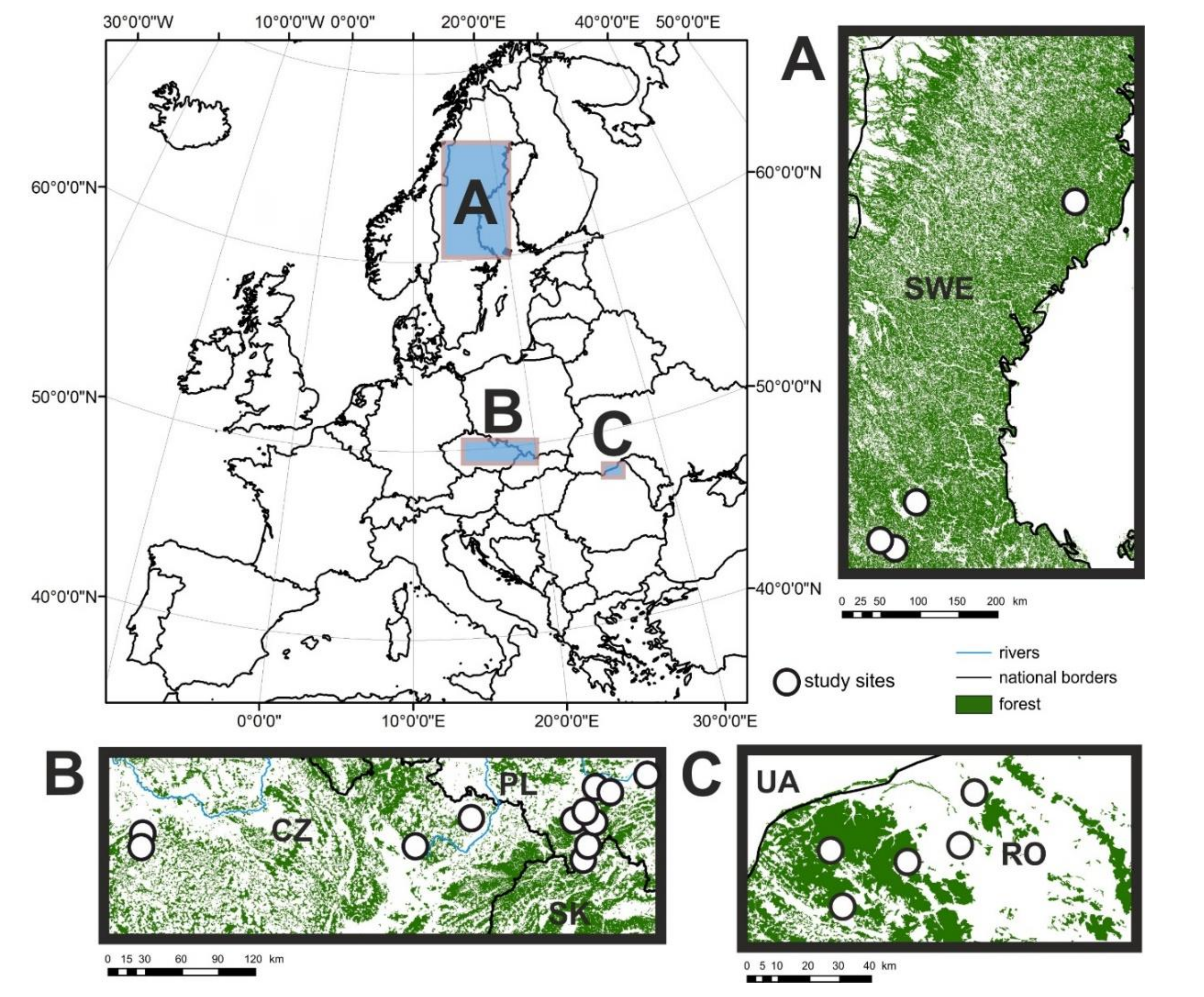 Forests 10 00131 g001