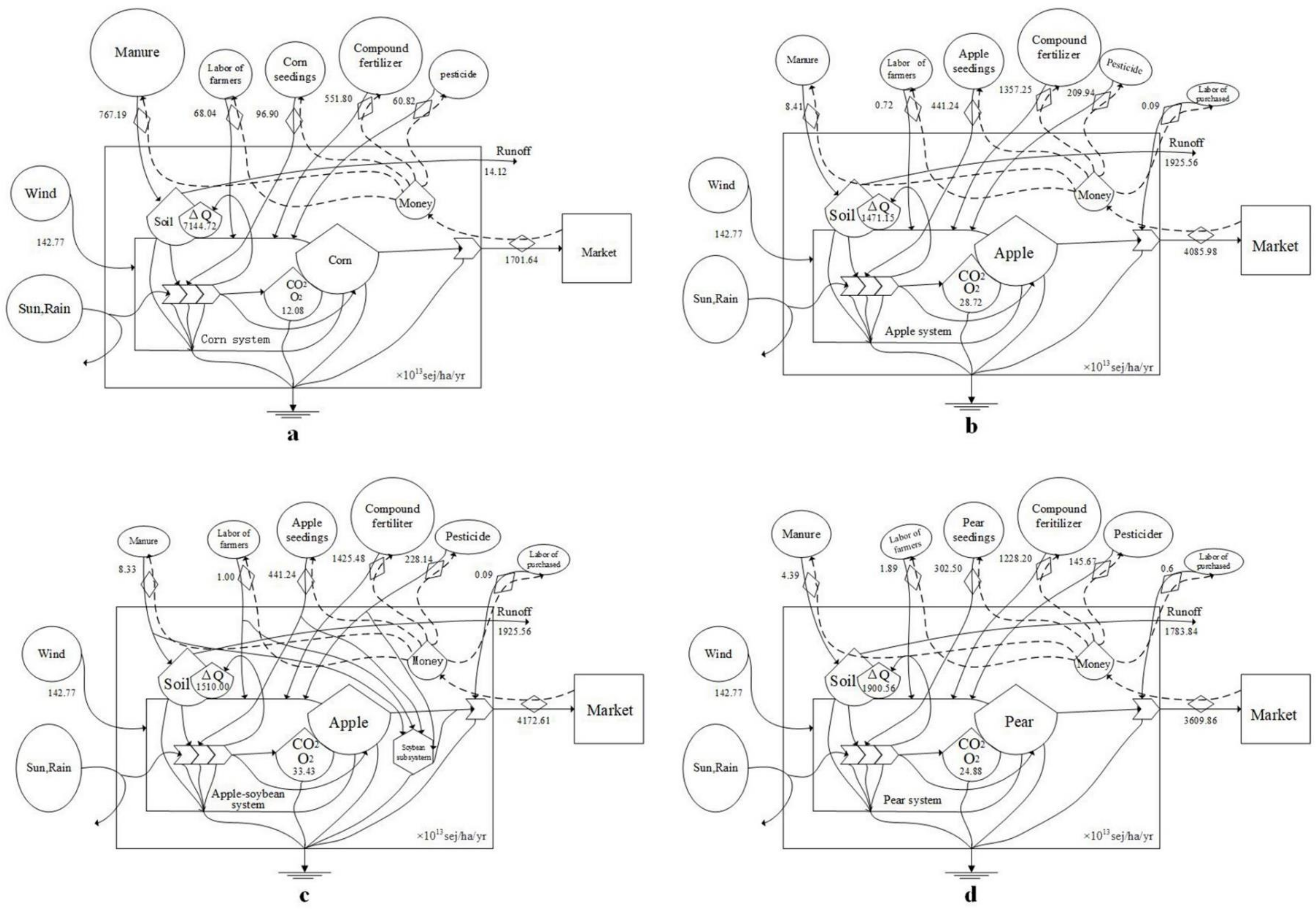 Forests 10 00138 g001a