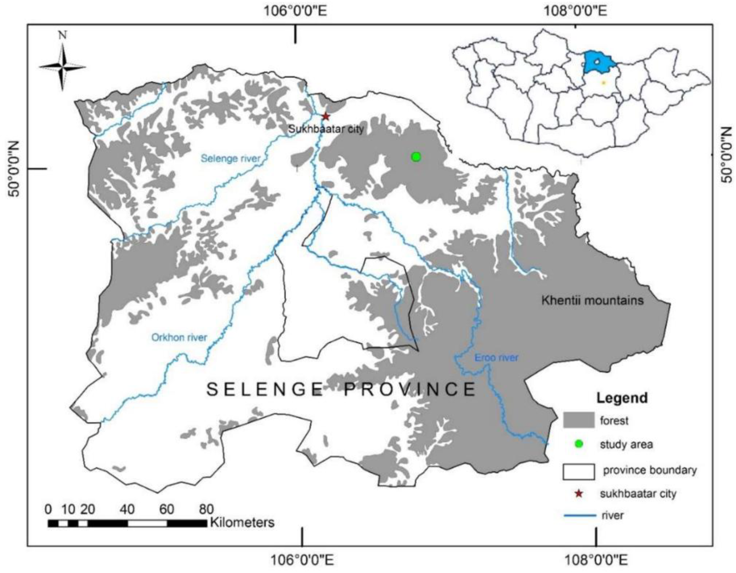 Forests 10 00141 g001