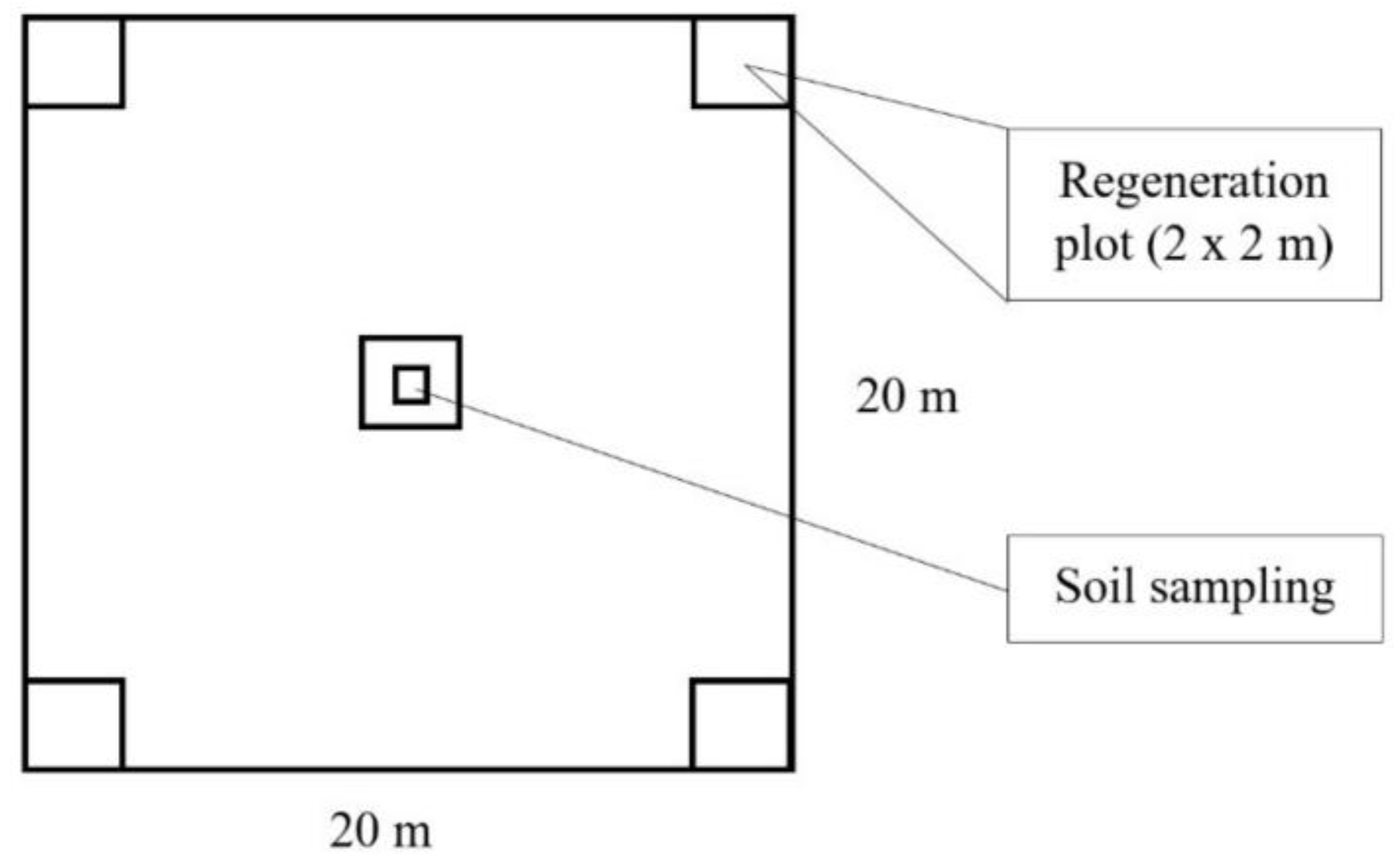Forests 10 00141 g002